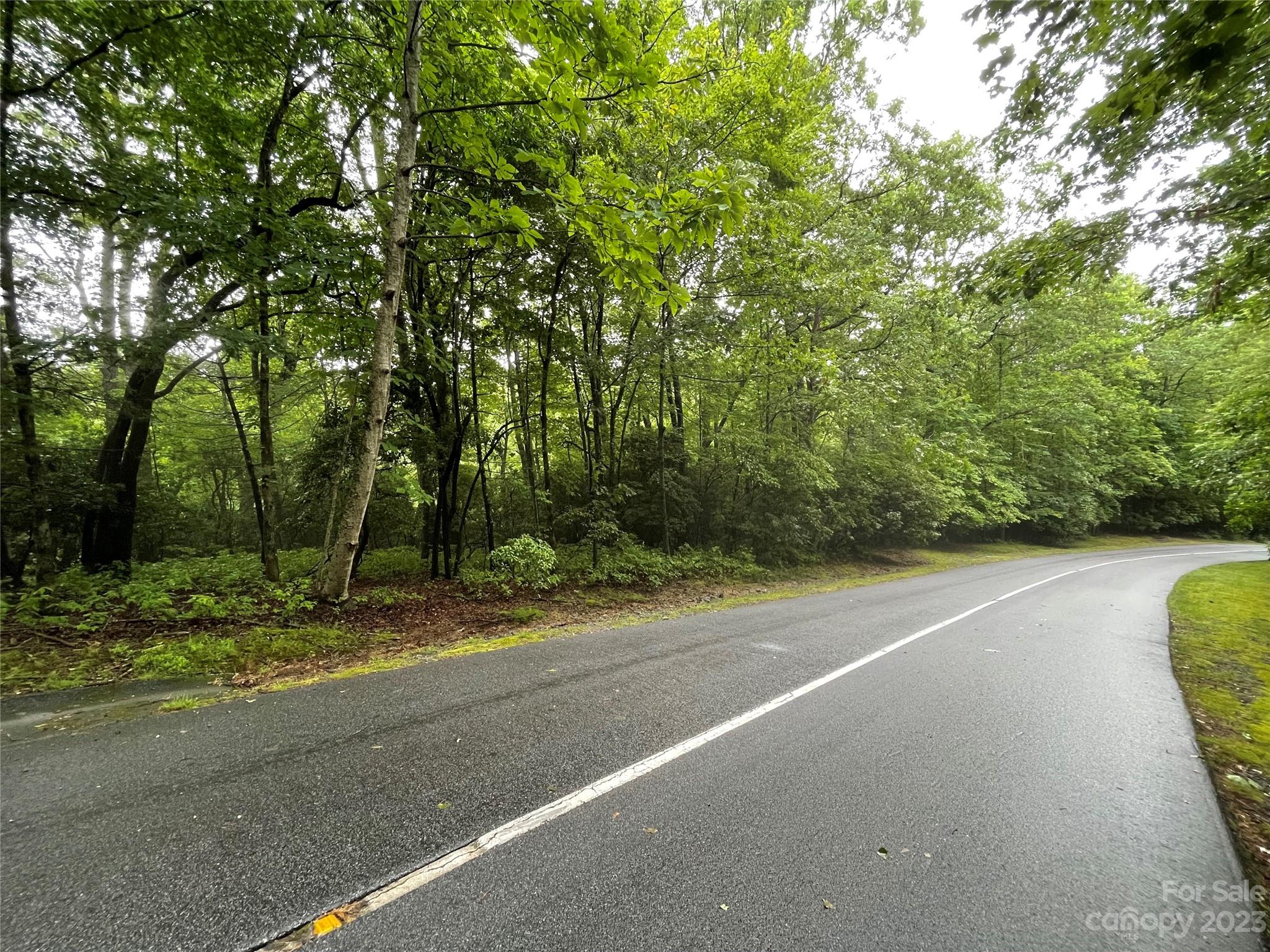 Connestee Falls - Land