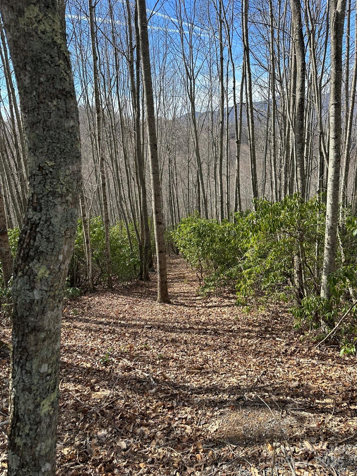 Lt 239 Down The Hill Road 239