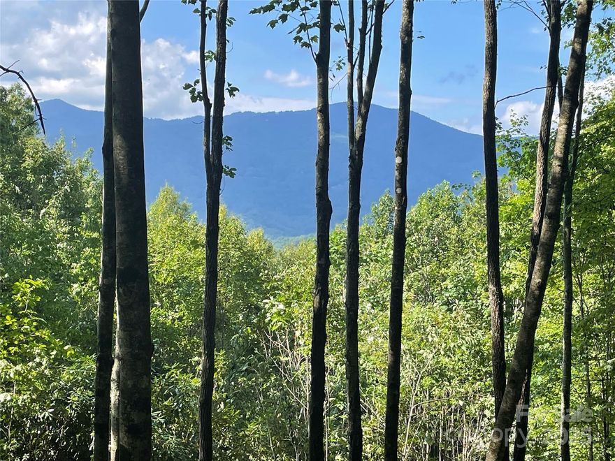 If you’re looking for gorgeous mountain views, look no further! Located at roughly 3,500 ft in elevation, this homestead has beautiful Northern mountain views. This lot offers quick access to Dark Ridge Camp and some of the best hiking trails and creeks on the mountain. Balsam Mountain Preserve is a private 4,400-acre club community with 3,200 acres of conservation land and completed amenities featuring golf, equestrian, scenic trails, tennis and dining. The stunning new facilities at Doubletop Village, including the Summit House Restaurant and Mine Tavern, are now open to members and their guests.