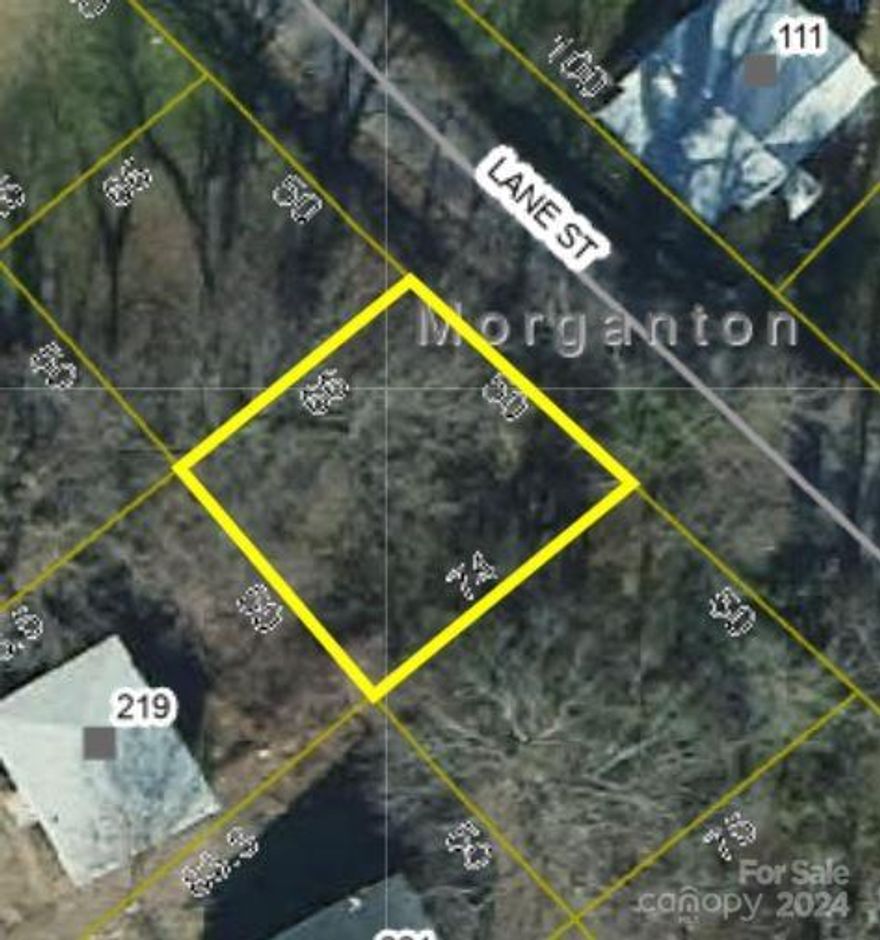 Nestled in the picturesque town of Morganton, this lot is approved for a 30 x 30 building footprint and would be perfect for a tiny house. With city sewer and water conveniently available, you can focus on crafting your ideal living space without worrying about the hassles of well and septic systems. Located behind Roses, the lot's prime location puts you just minutes away from the heart of downtown Morganton, where a diverse array of shopping, dining, and entertainment options await. Indulge in the town's thriving culinary scene, savoring the flavors of locally-owned eateries and breweries that have garnered a loyal following. For a night out on the town, catch the latest blockbuster at the cinema or explore the unique boutiques that line the streets. Convenience is paramount with this property, as it boasts easy access to major thoroughfares like US-70 and I-40, ensuring a seamless commute to nearby cities or a swift escape for weekend adventures in the stunning Blue Ridge Mountains.