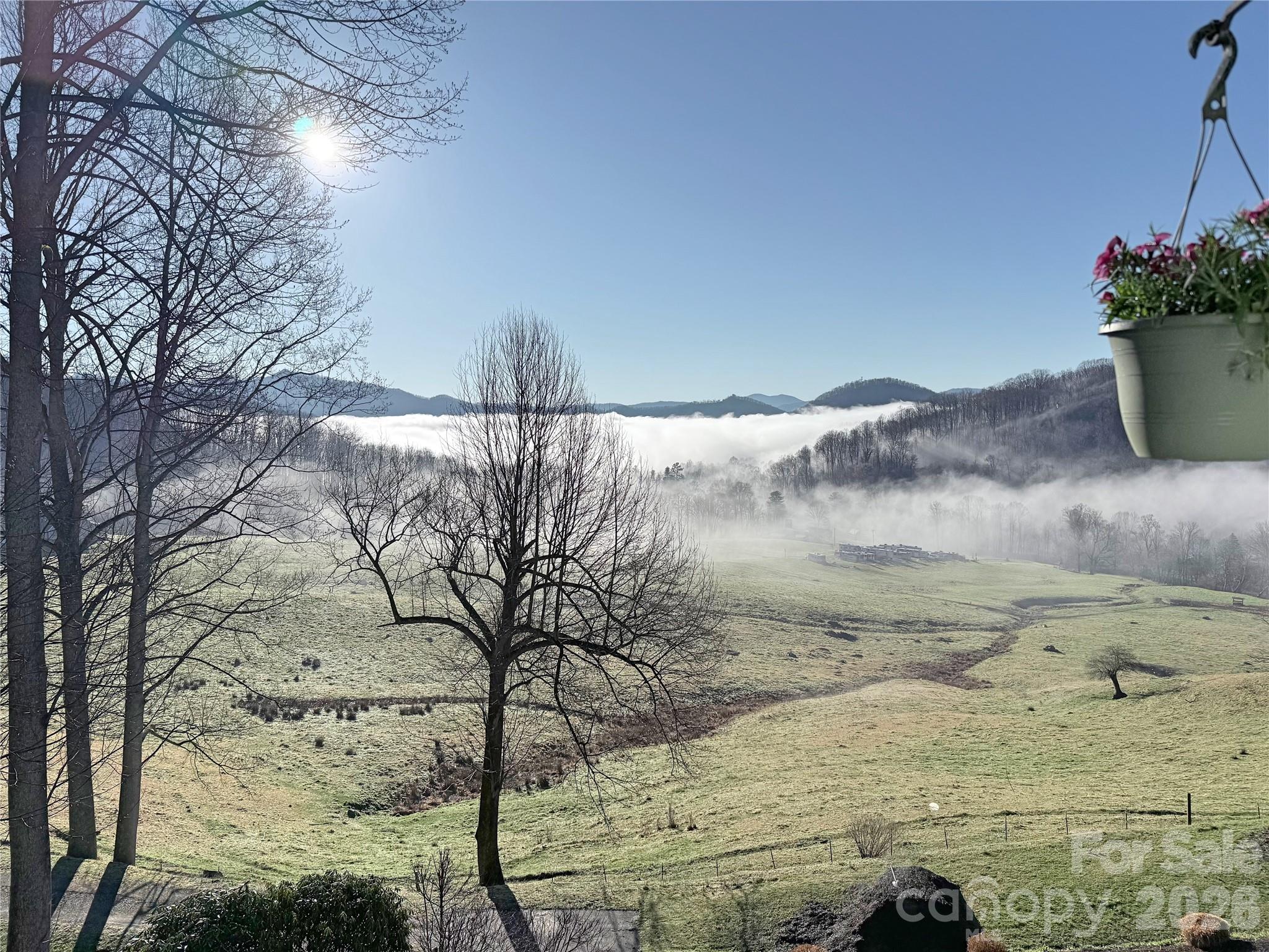 Crystal Tree - Residential