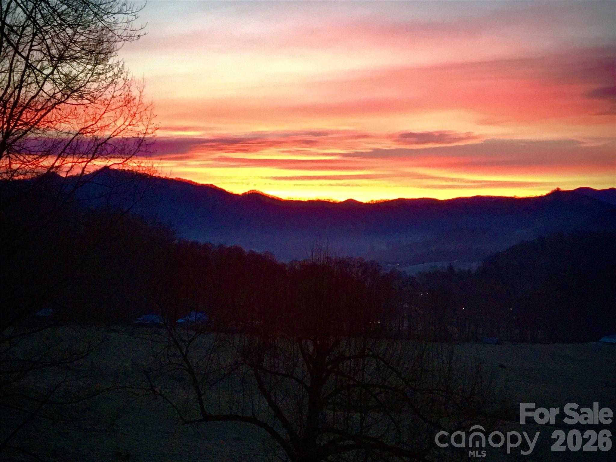 Crystal Tree - Residential