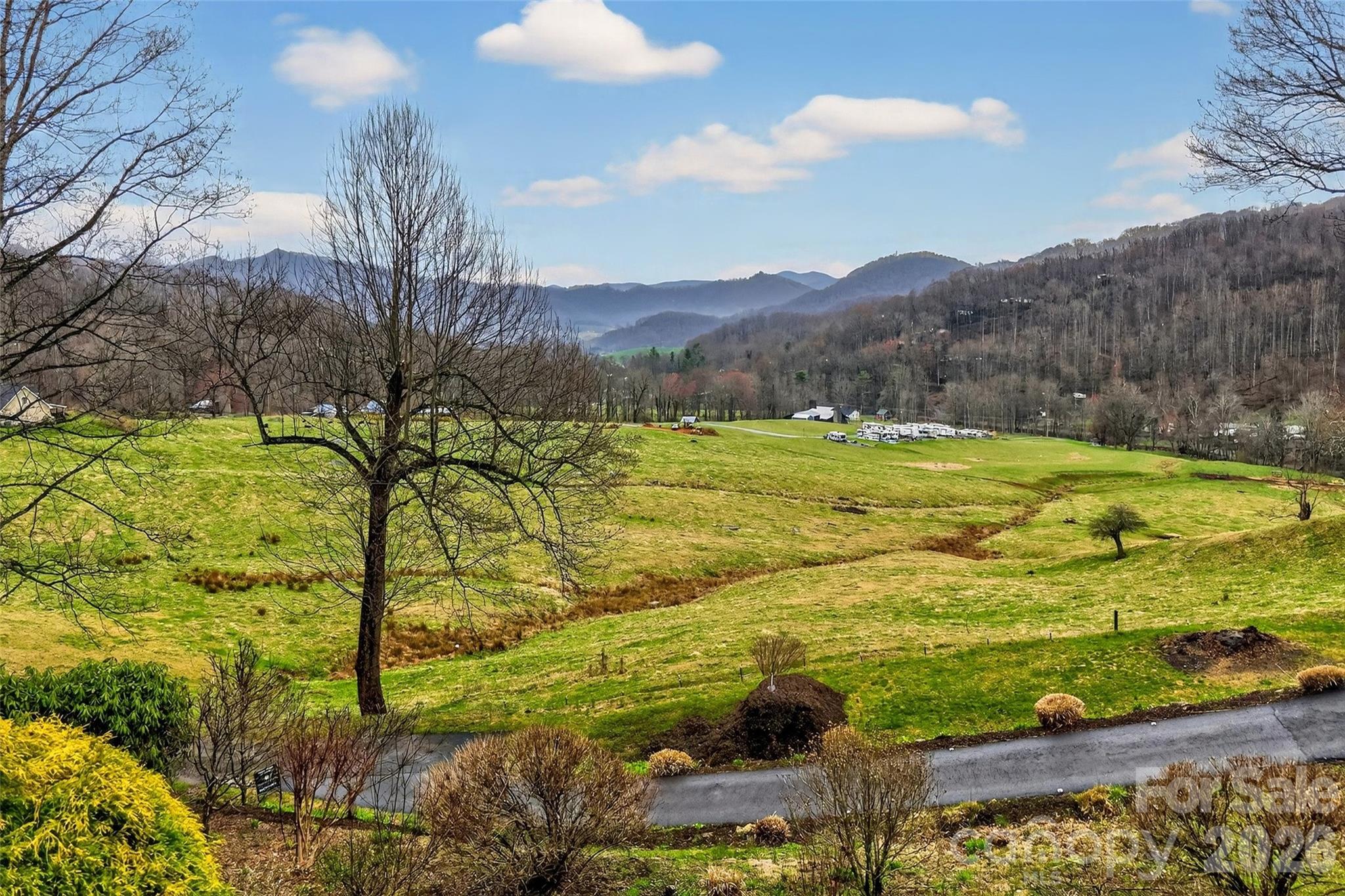 Crystal Tree - Residential