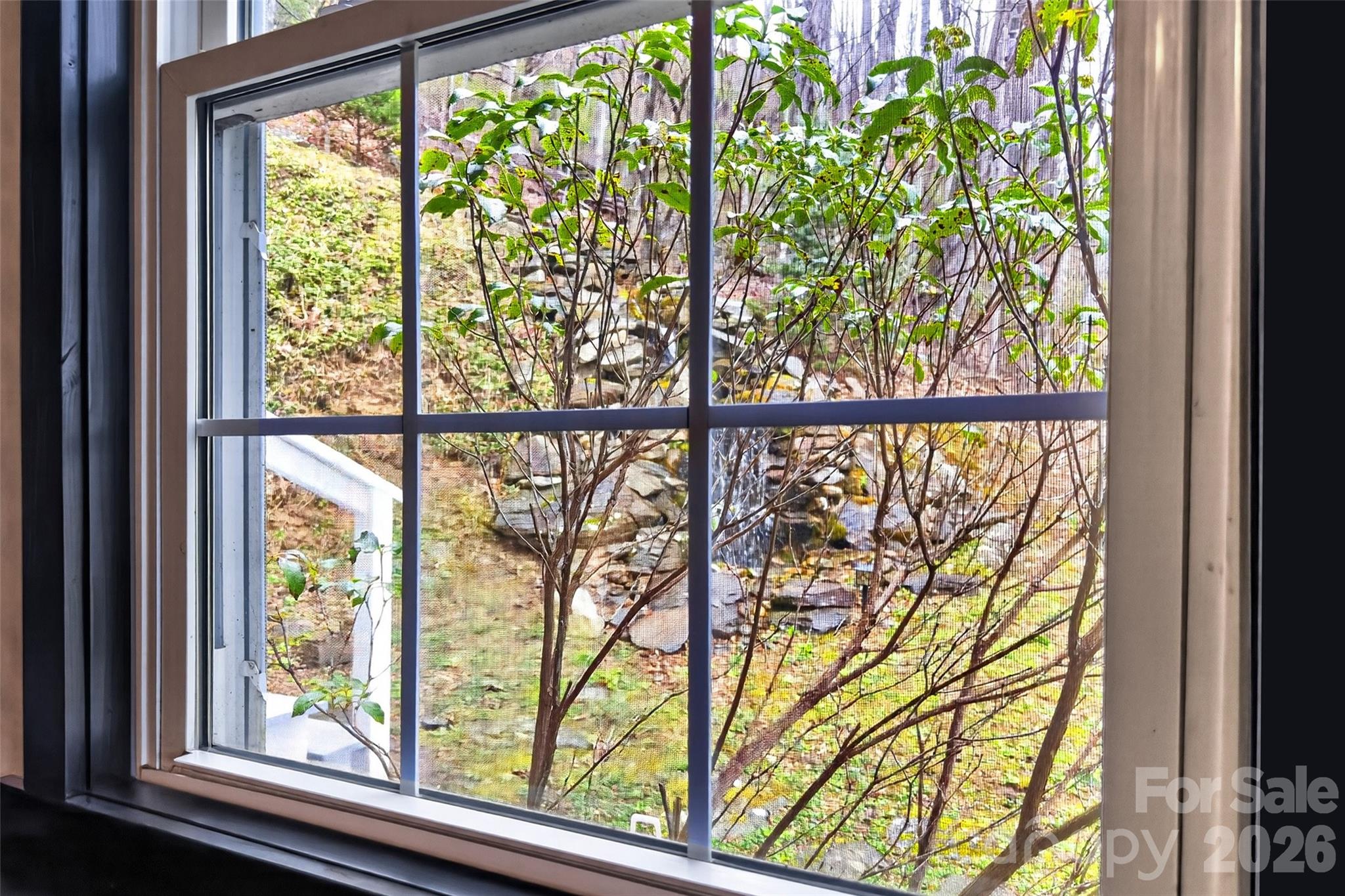 Crystal Tree - Residential