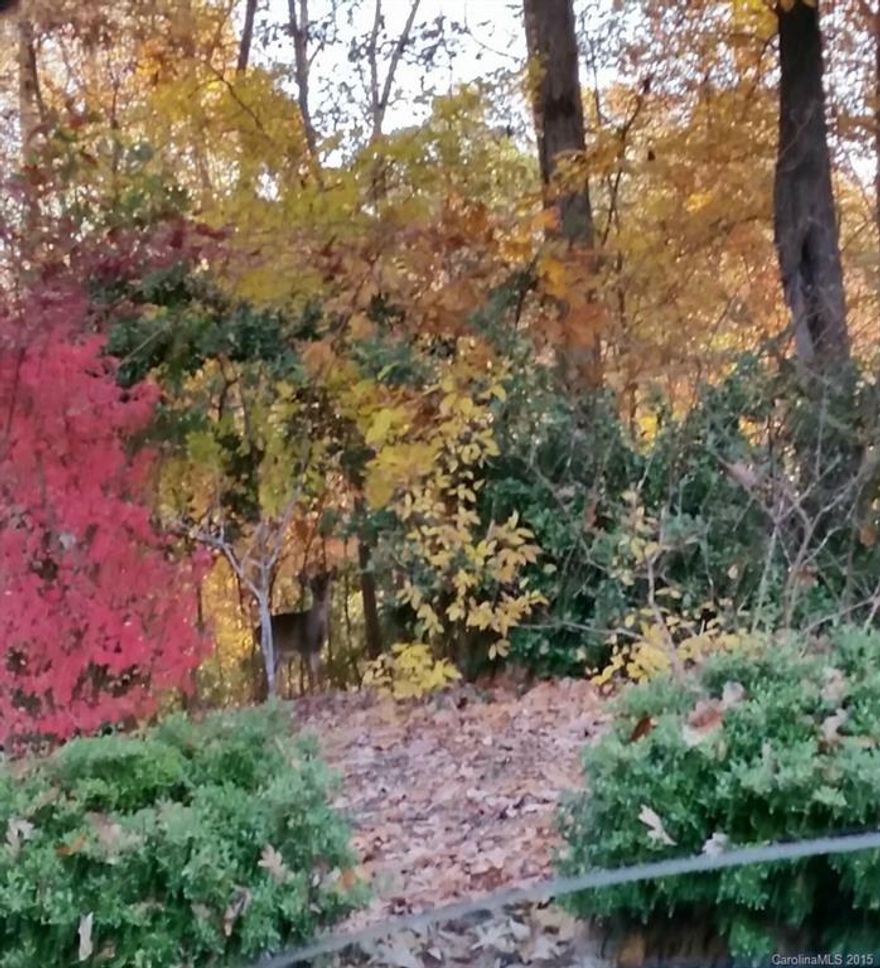 Beautiful lot in quiet subdivision. Perfect for a basement home. A little bit of country living yet close to everything.