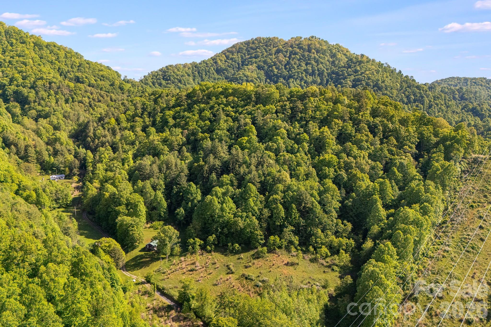 130 Black Crow Road