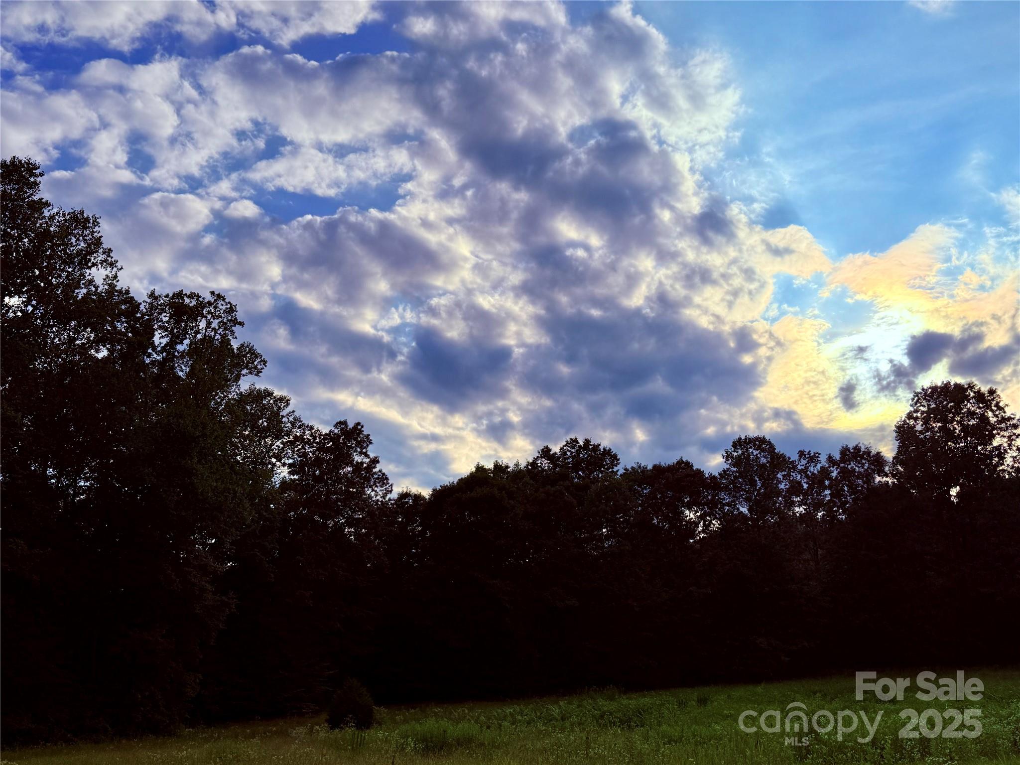 00 Bill Collins Road