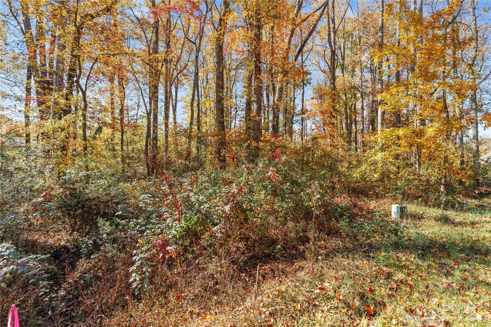 Chambers Trace - Land