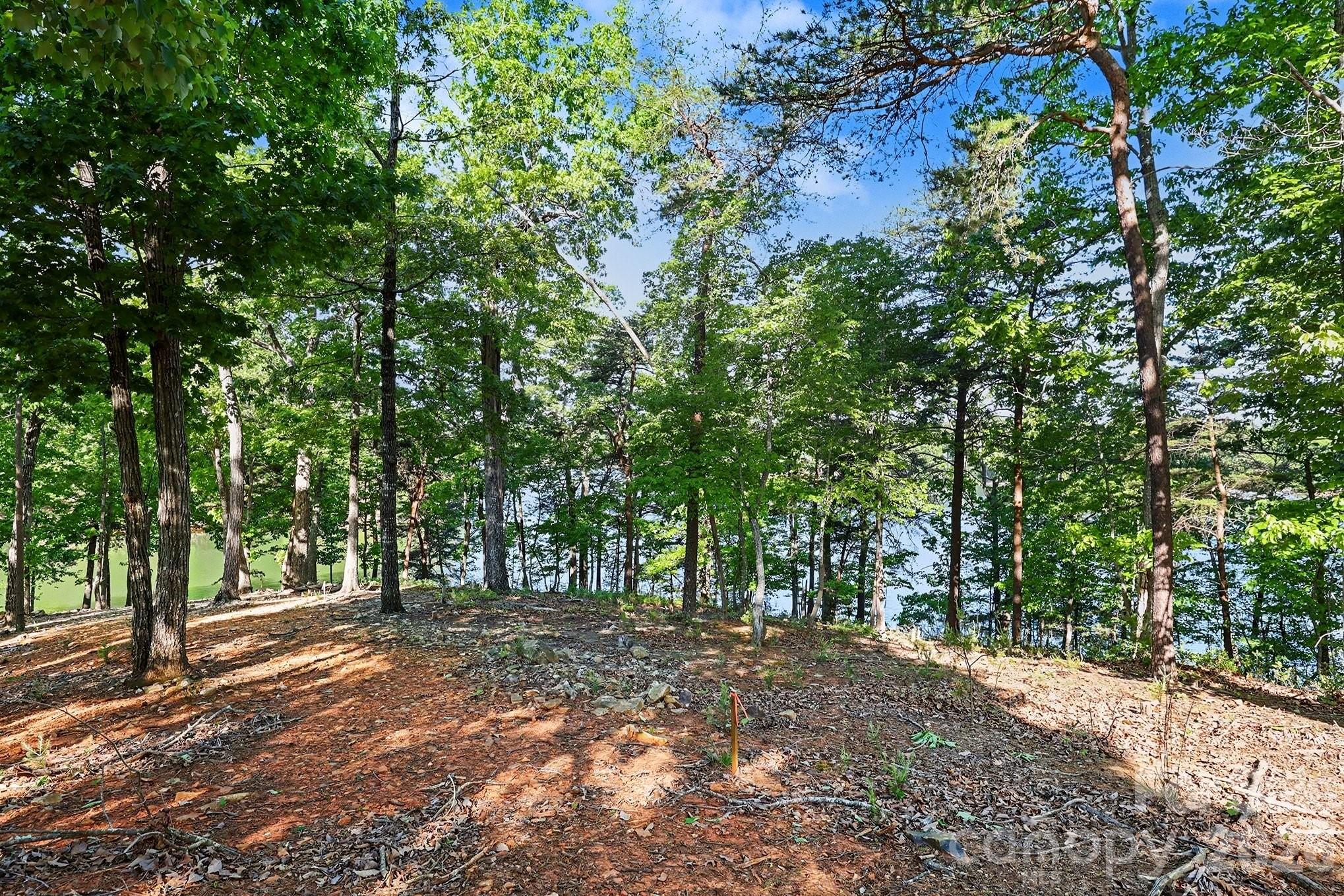 The Springs At High Rock - Residential