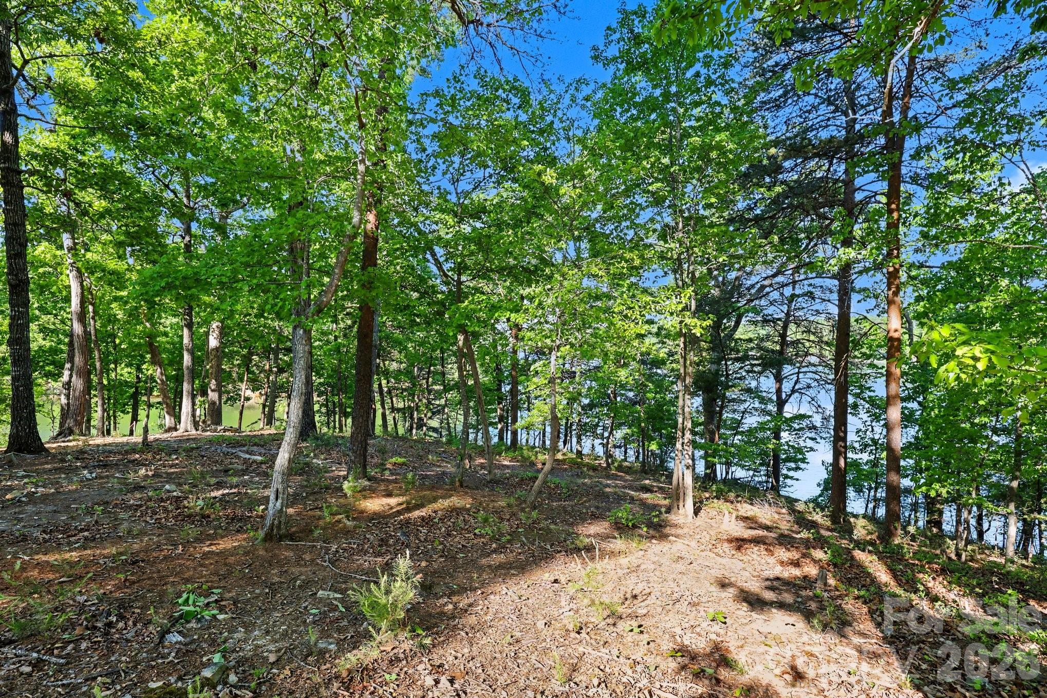 The Springs At High Rock - Residential