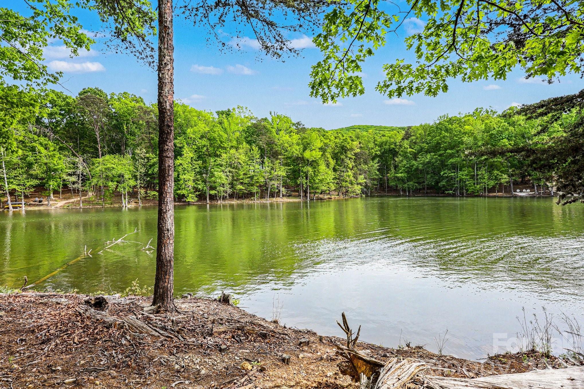 The Springs At High Rock - Residential