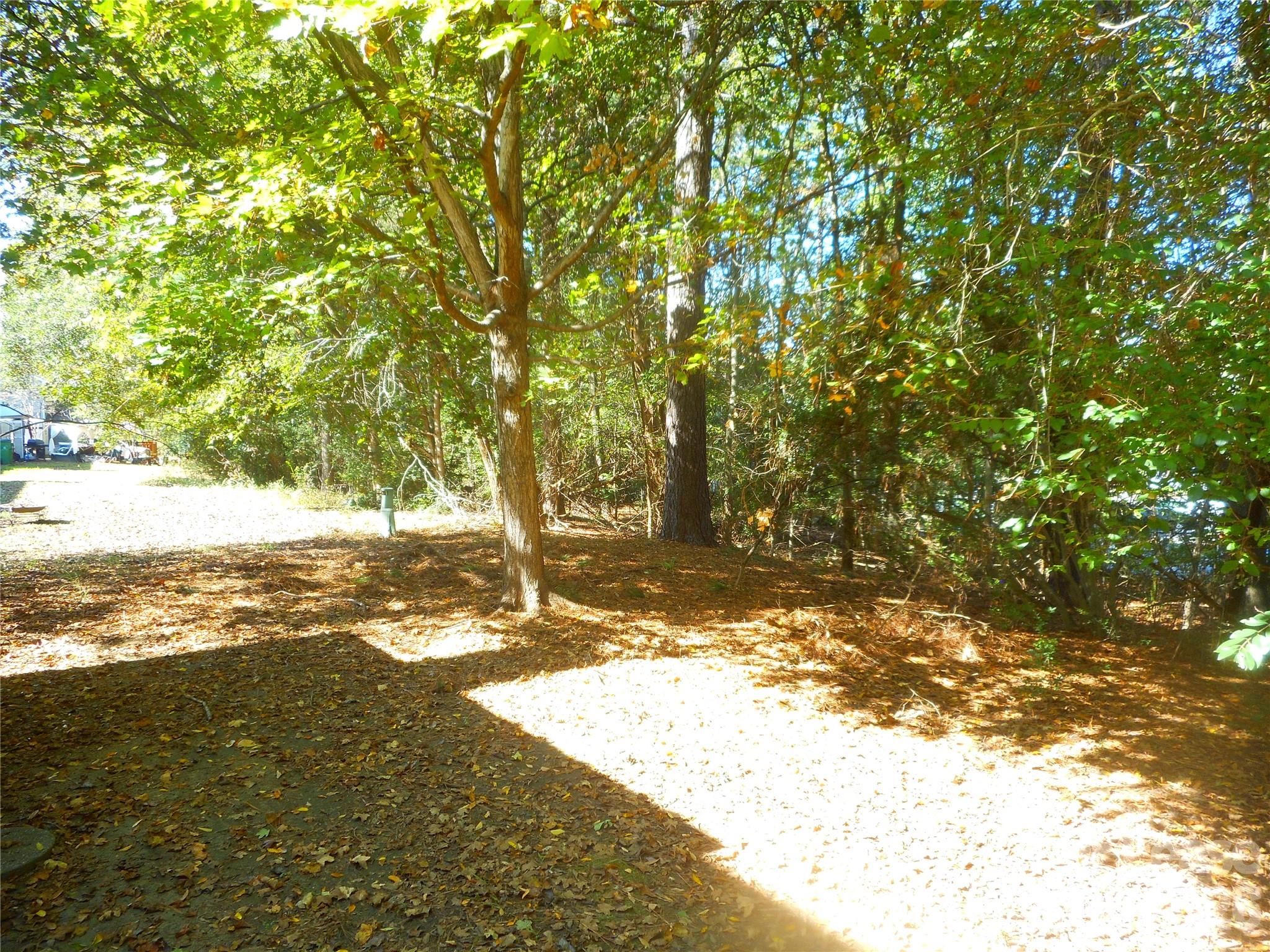 Bevington Pines - Residential Lease