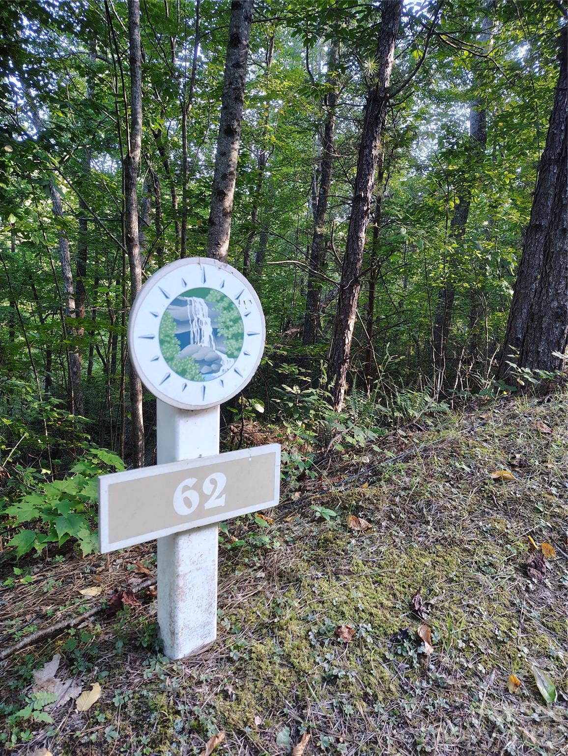 0000 Cheyenne Falls Trail 62