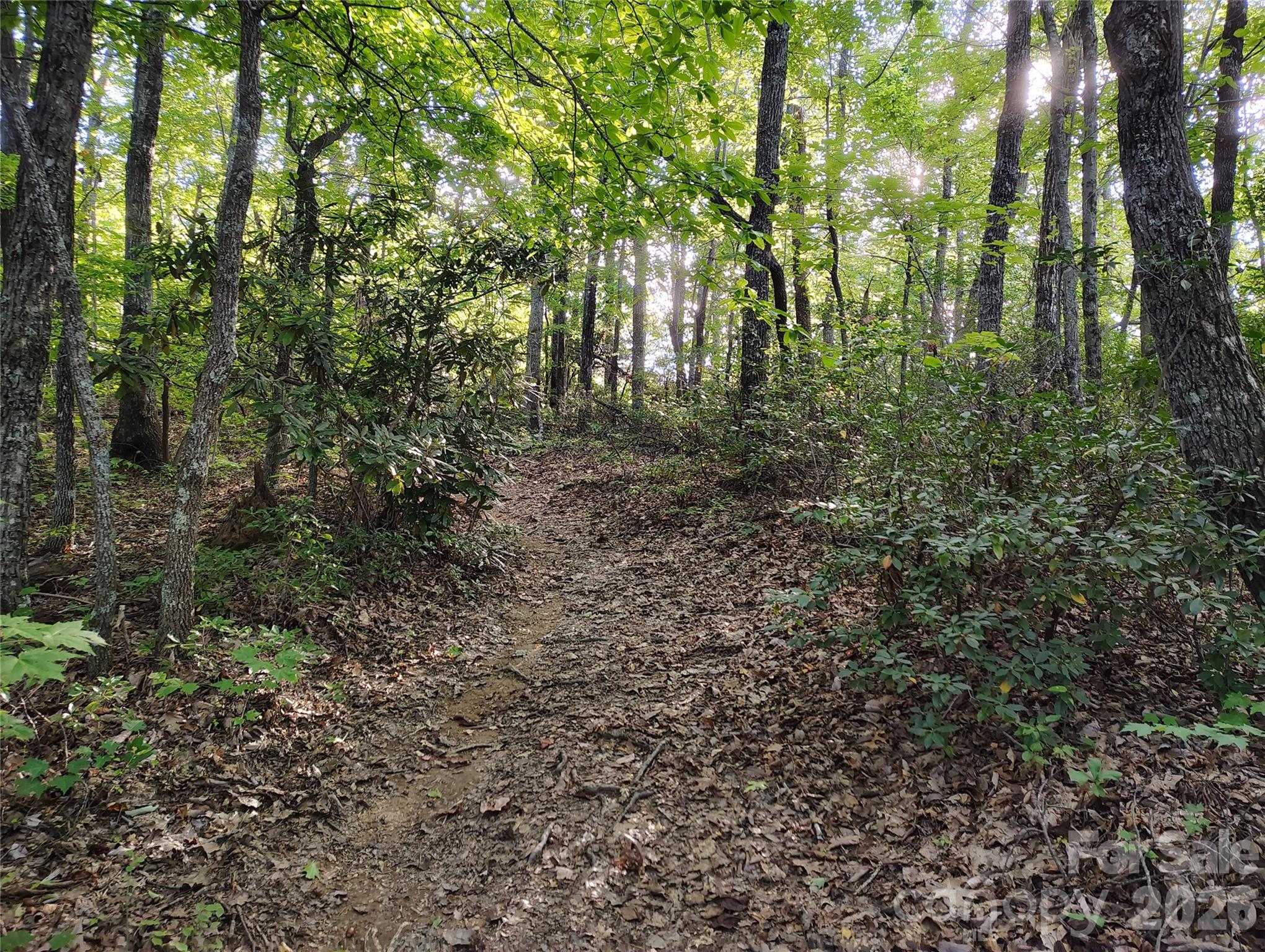 0000 Cheyenne Falls Trail 62