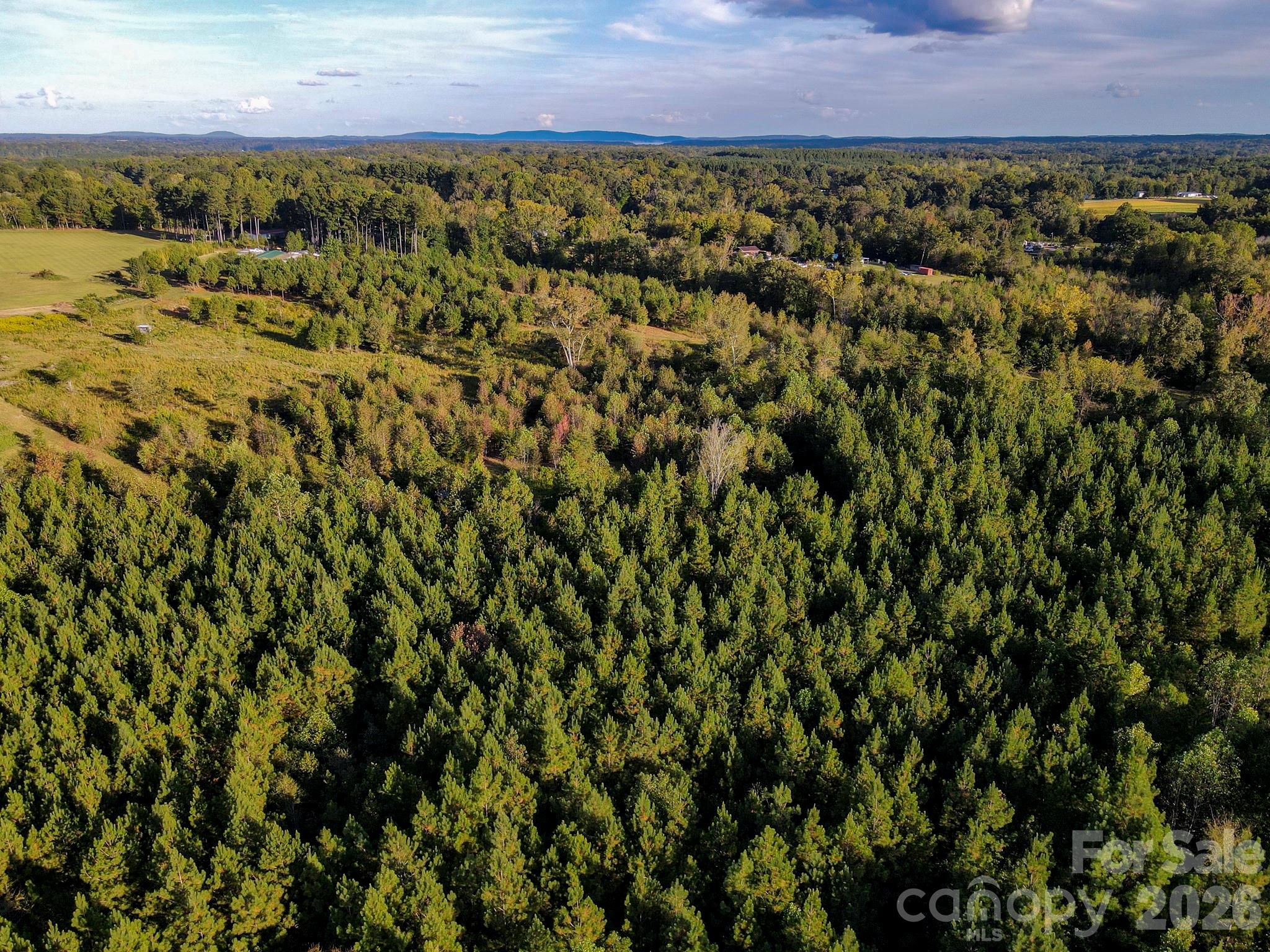 1175 Mccoy Farm Road