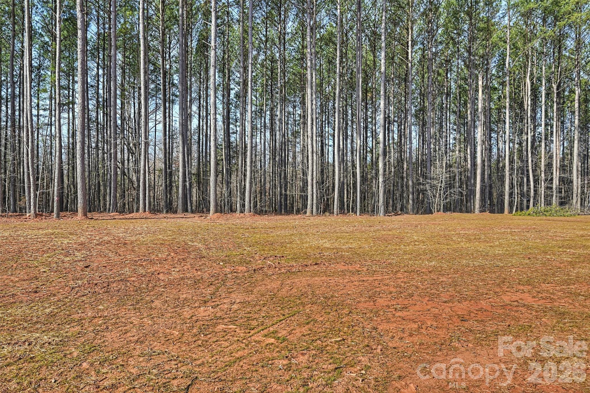 North Pines - Residential