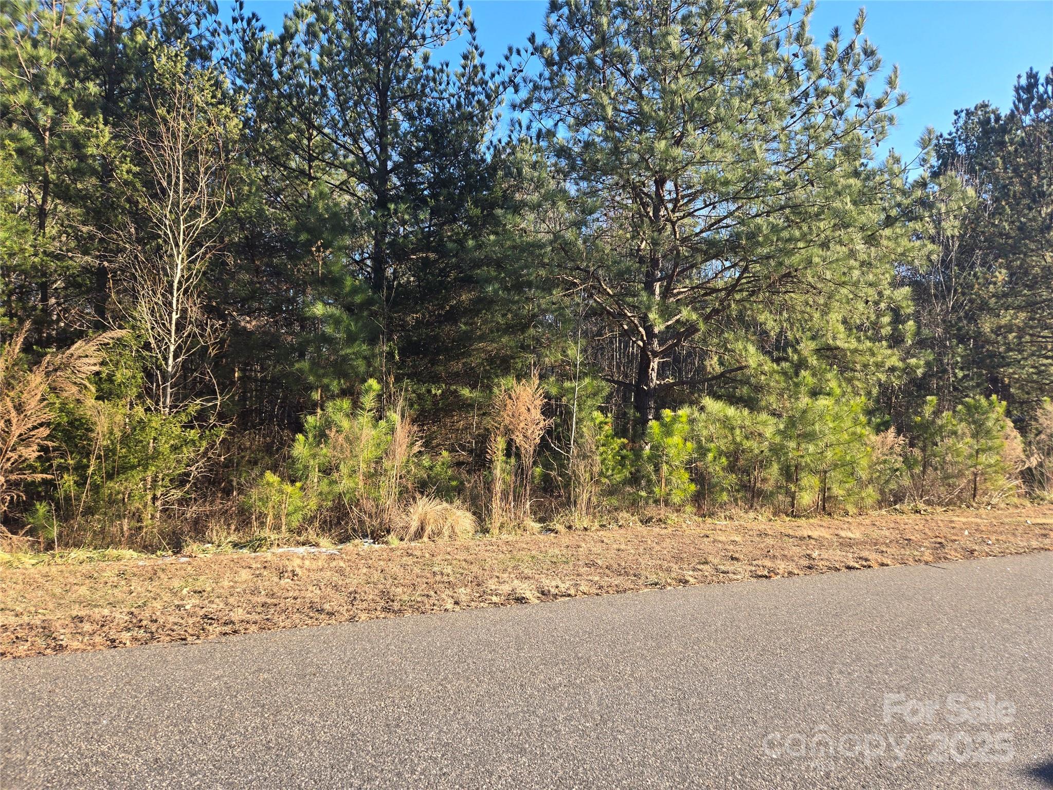 283 Rivercliff Drive 20