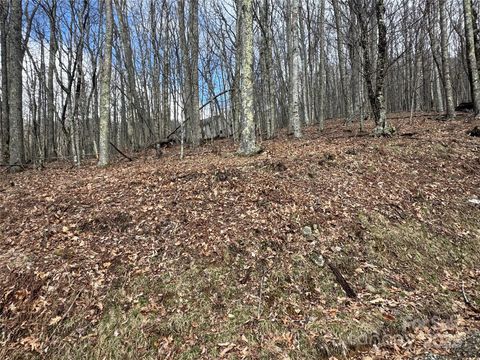 344 Tearshirt Lane Mars Hill NC 28754