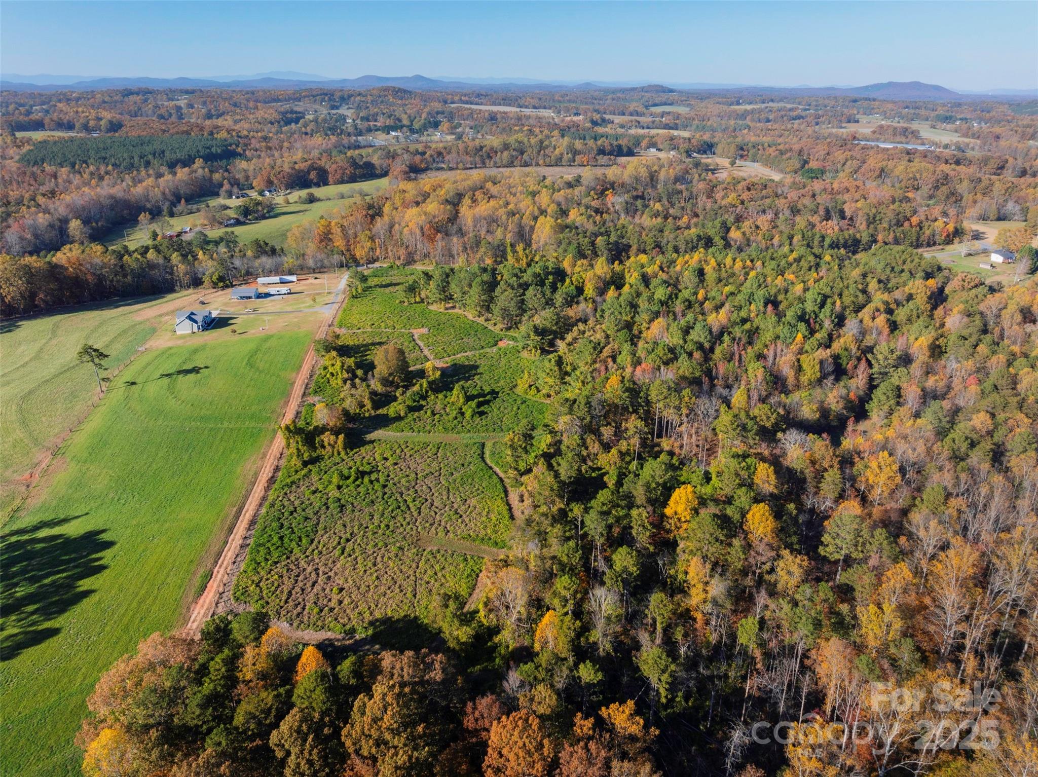 0000 Bud Davis Road 6