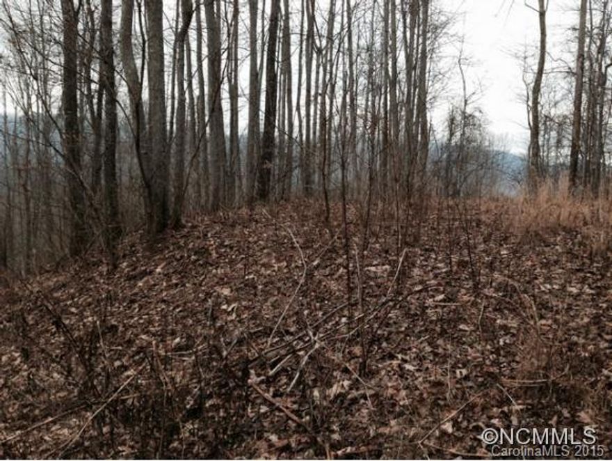 Balsam Mountain Preserve homestead with westerly views, easy build site with a central location just off of Preserve Road. Community offers 35 miles of hiking trails and Nature Center. Access Club amenities with membership to Arnold Palmer signature golf course, Har-Tru tennis courts,heated pool in summer, stables and dining at Boarding House.