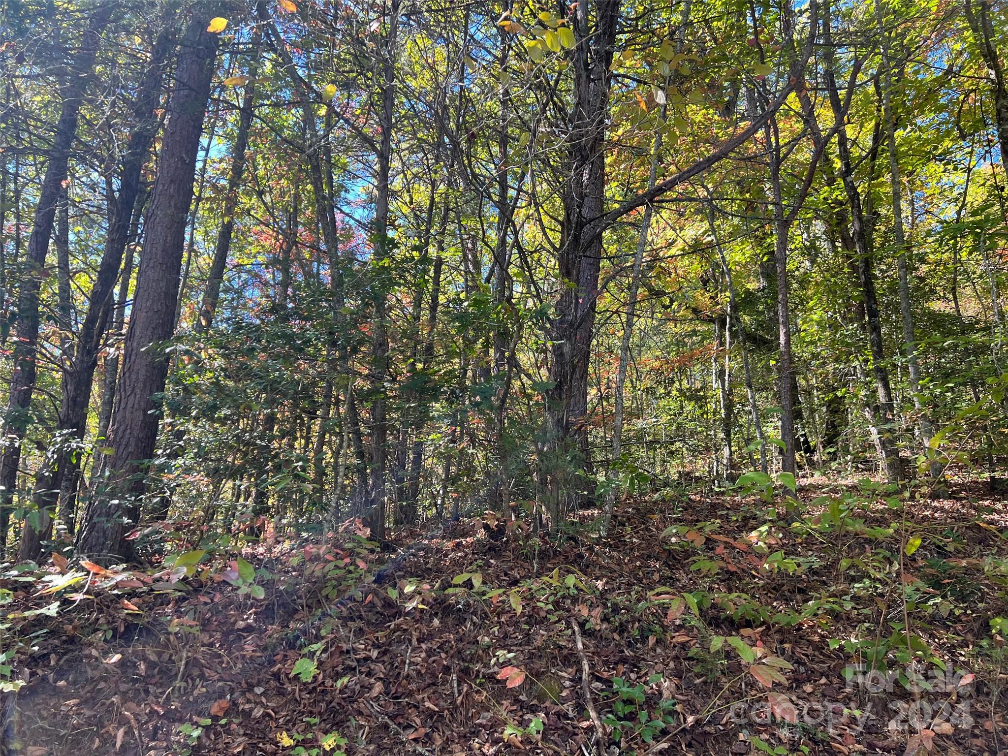 00 Tract B&C US Highway 441 None S