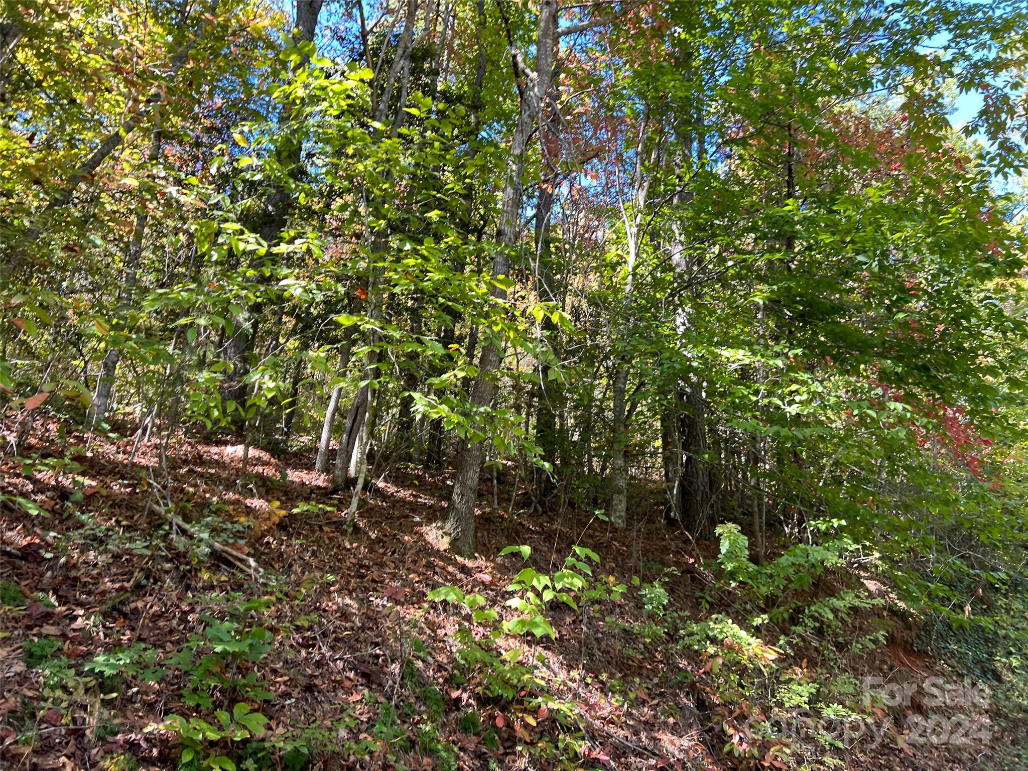 00 Tract B&C US Highway 441 None S