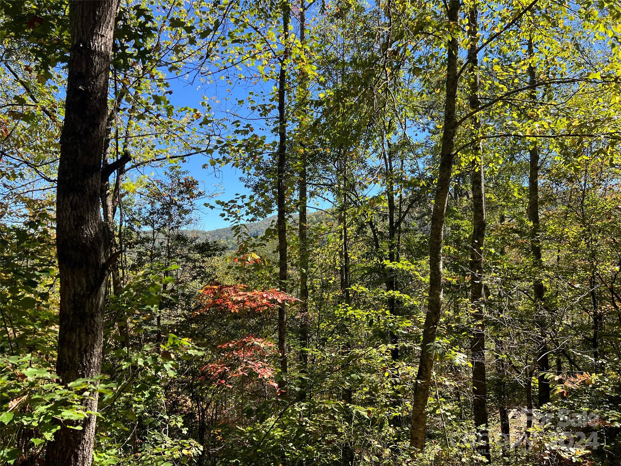 00 Tract B&C US Highway 441 None S