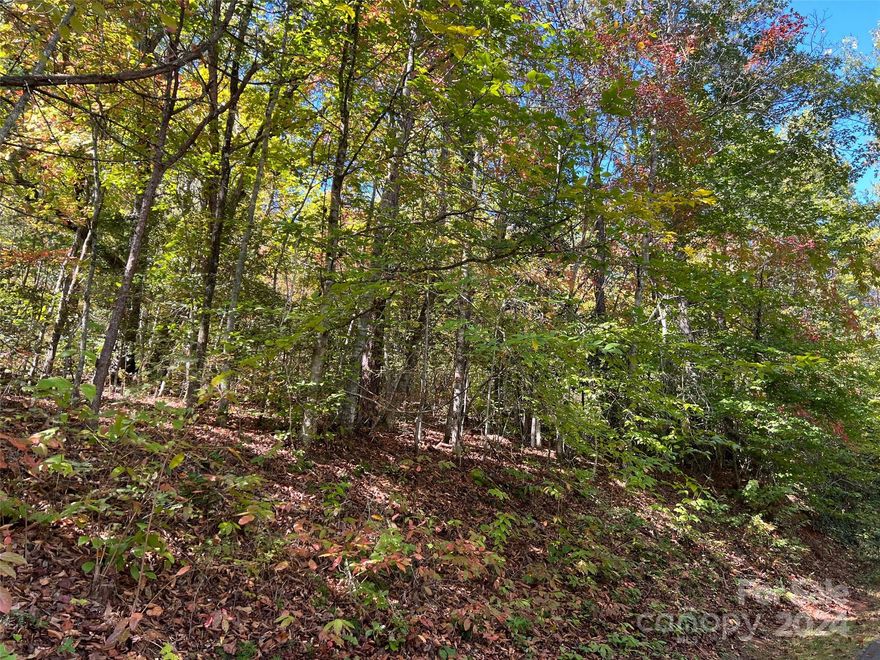 This 1.19-acre beautiful wooded property offers mountain views, with even more expansive vistas in the winter months. Located along a paved road with easy access, the property is unrestricted, allowing for flexibility in its use. It includes a house pad with a permitted septic tank installed, as well as deeded shared well rights for water access. Just a short drive from Dillsboro, Sylva, and Franklin, and close to the Great Smoky Mountains National Park, this location offers both natural beauty and convenience.