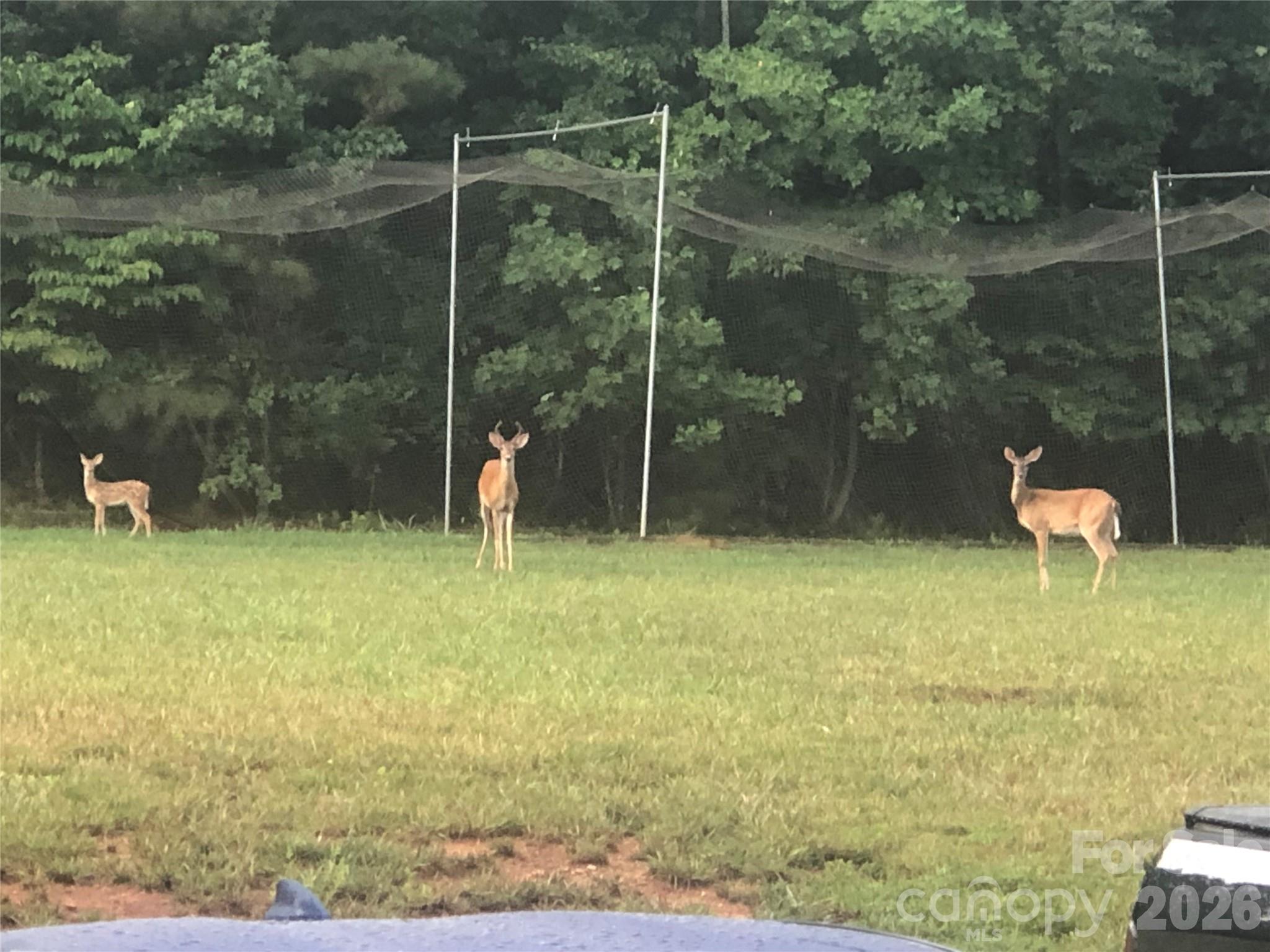 The Peninsula At Bayshore - Residential
