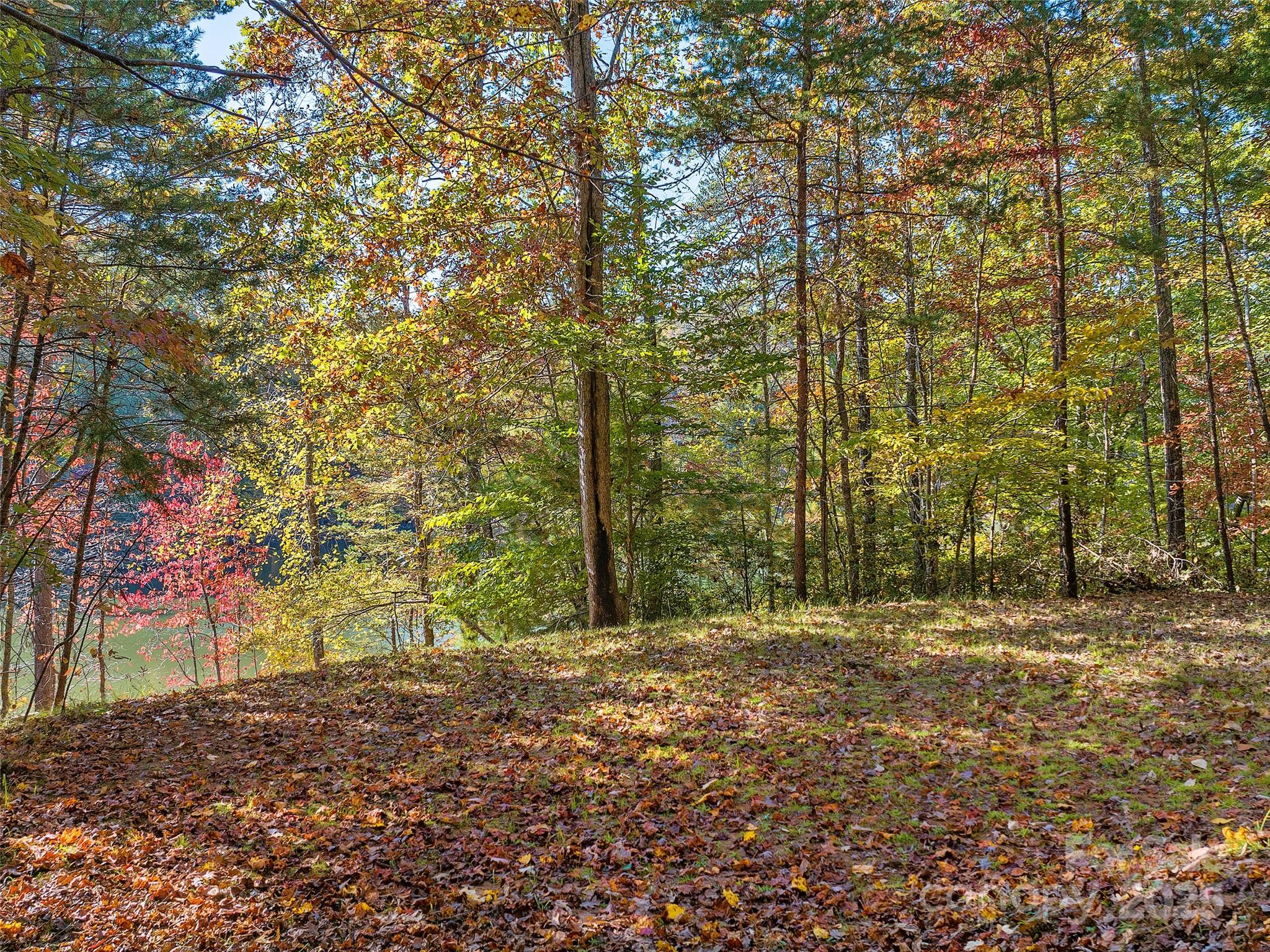 000 South Cove Road 17