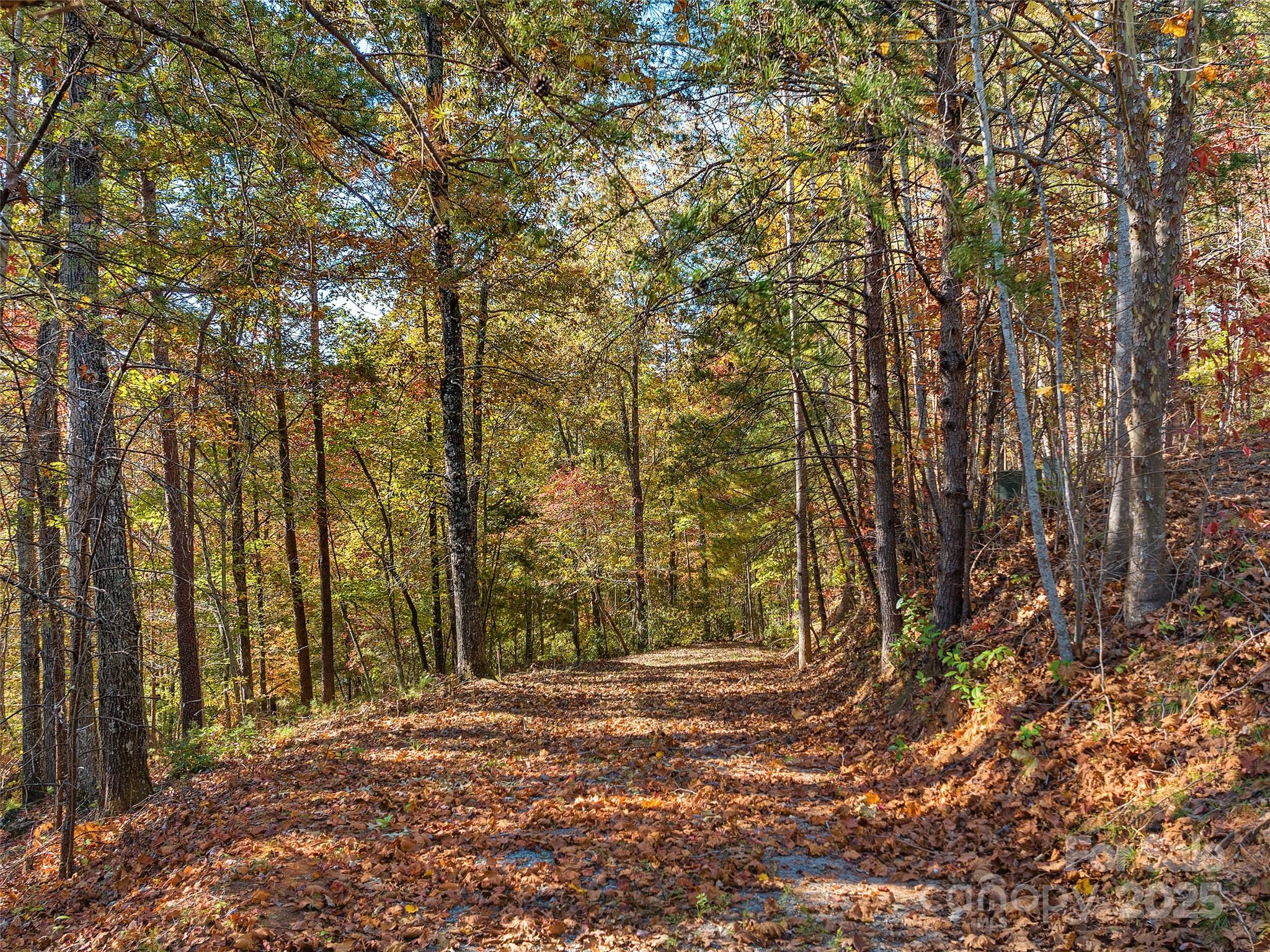 000 South Cove Road 17