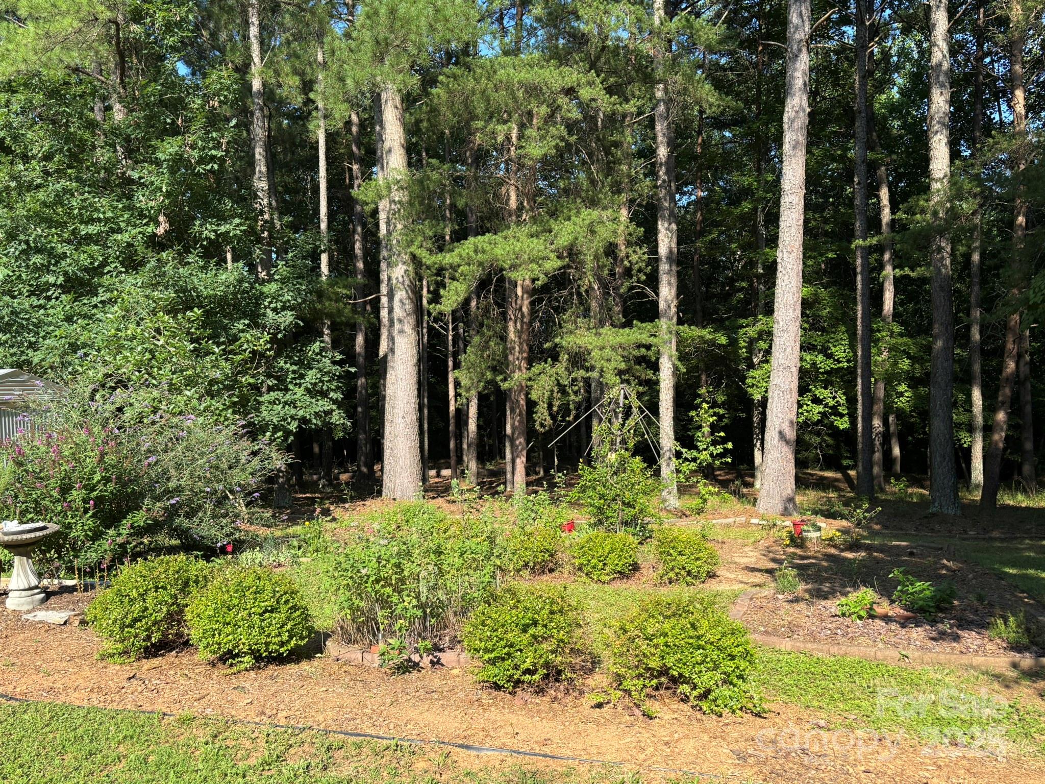 Whispering Pines - Residential