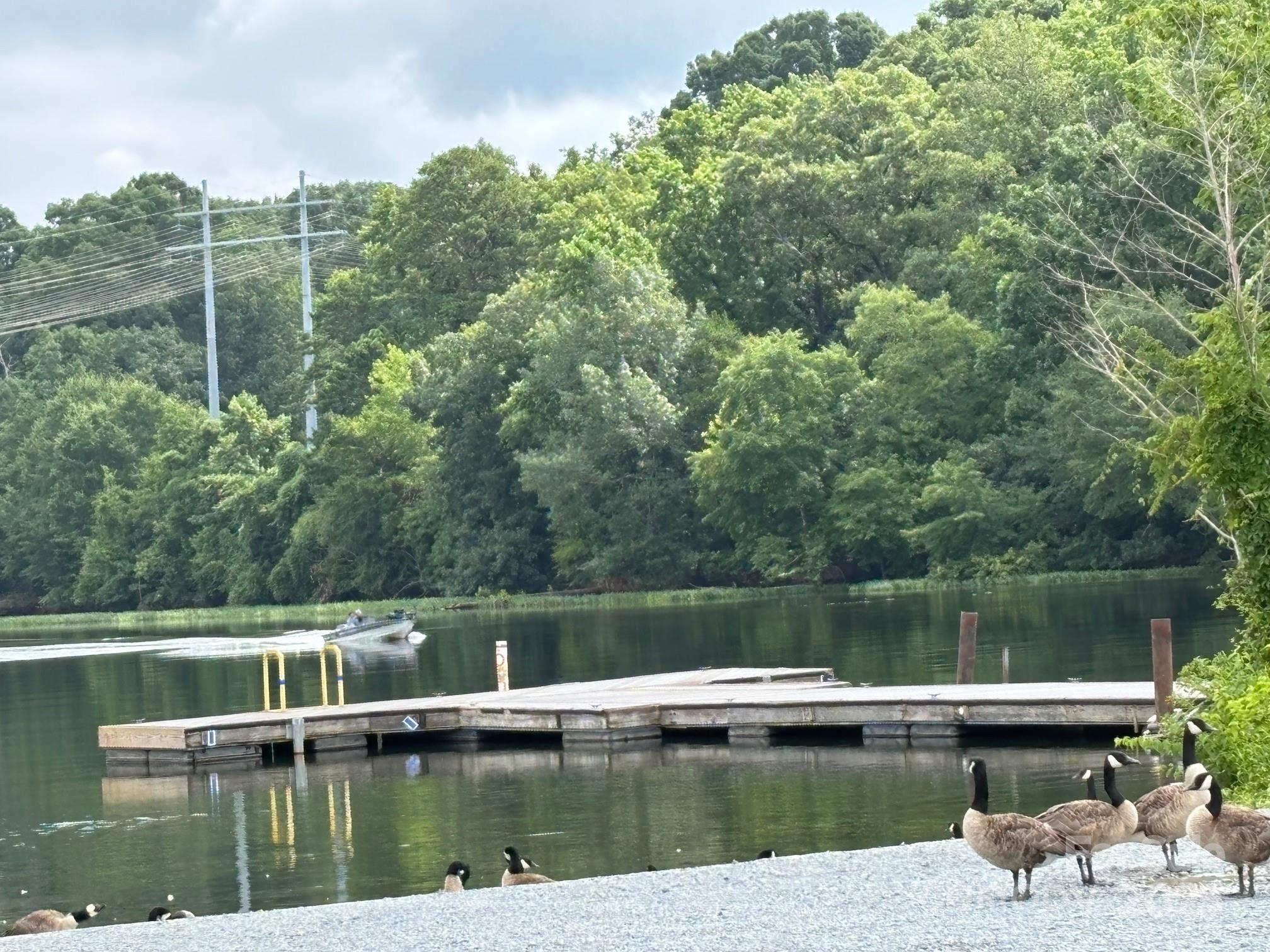 Whispering Pines - Residential