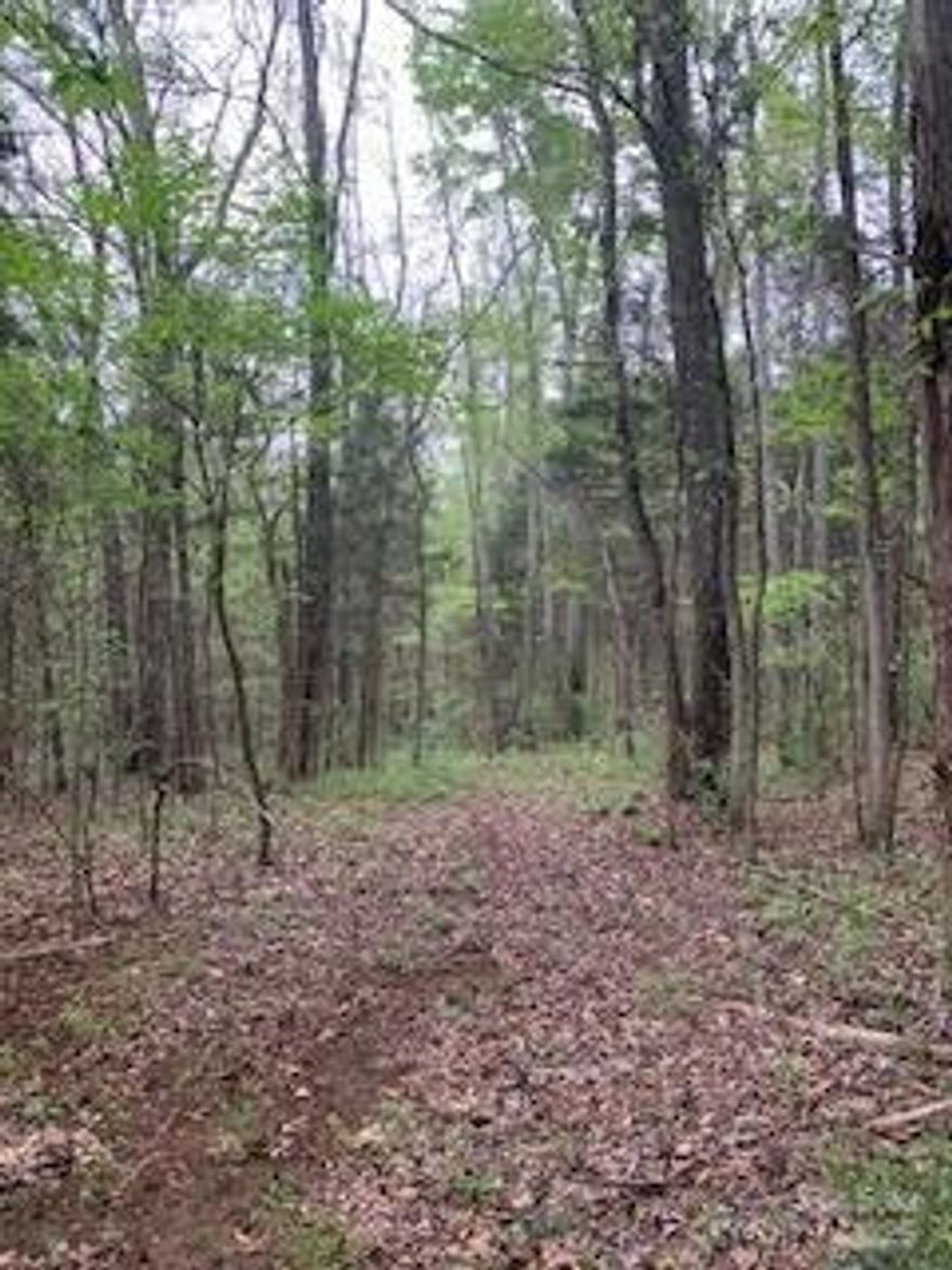 LOCATION, LOCATION, LOCATION!! ~ 8.21+/- wooded acres less than 5 minutes to I-77. Amazing location just a few miles from I-77 for Charlotte or Columbia commuters. Homesite options allow complete PRIVACY from the road. This Parcel is located between 3519 Marshall Rd and 3559 Marshall Rd. Deed restrictions are… no mobile or modular homes allowed. Don't miss this opportunity! Listing agent related to seller. Contact Listing Agent for further information if desired.