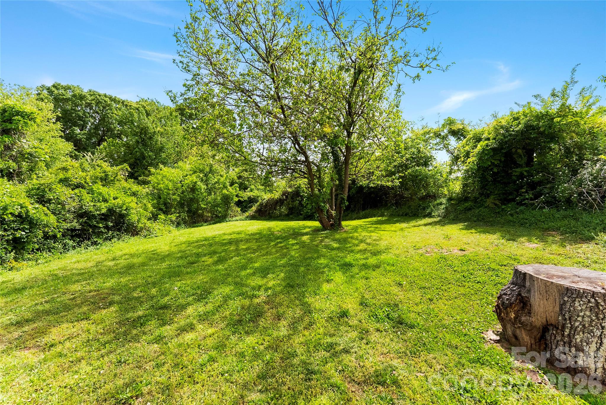 1511 Hollyleaf Avenue