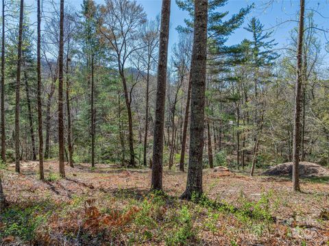 99999 Running Creek Trail Arden NC 28704
