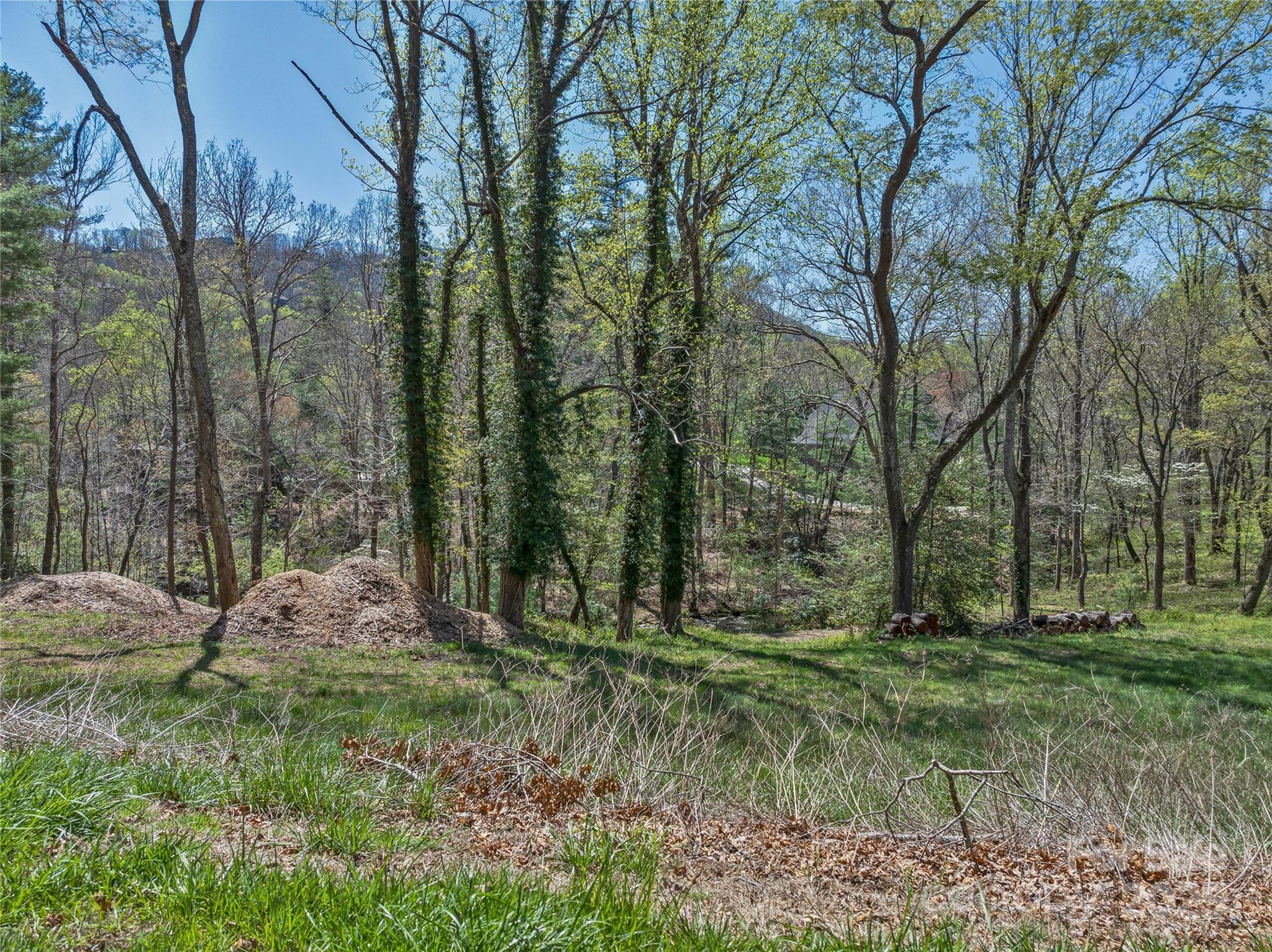99999 Running Creek Trail