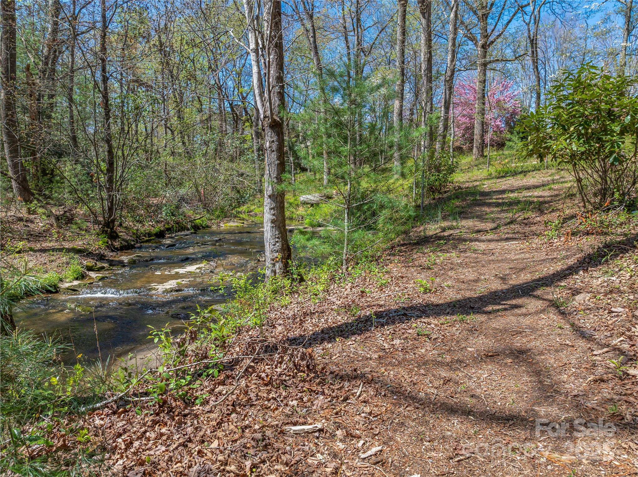 99999 Running Creek Trail