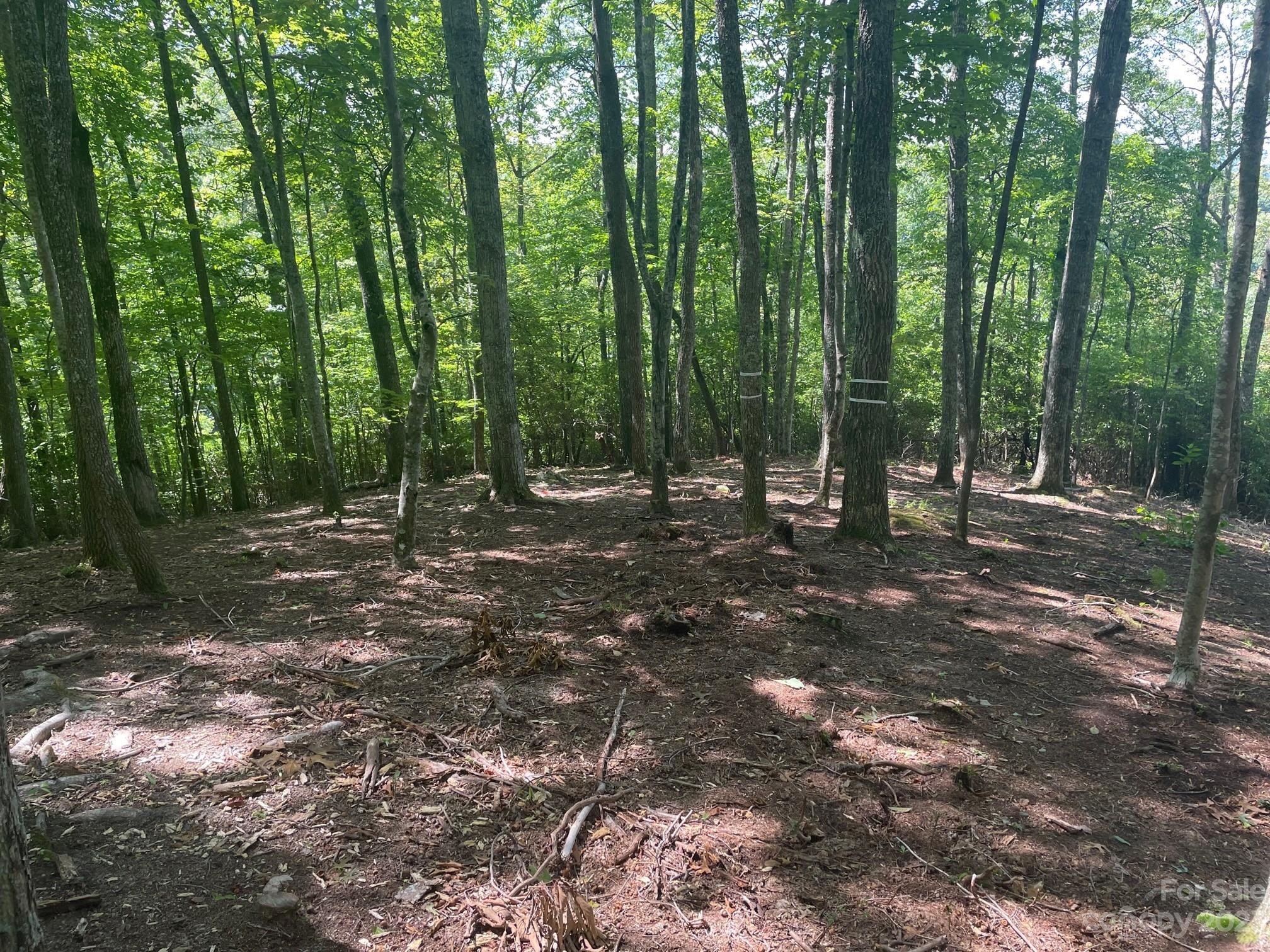 Lt 107 Boar Ridge Road 107