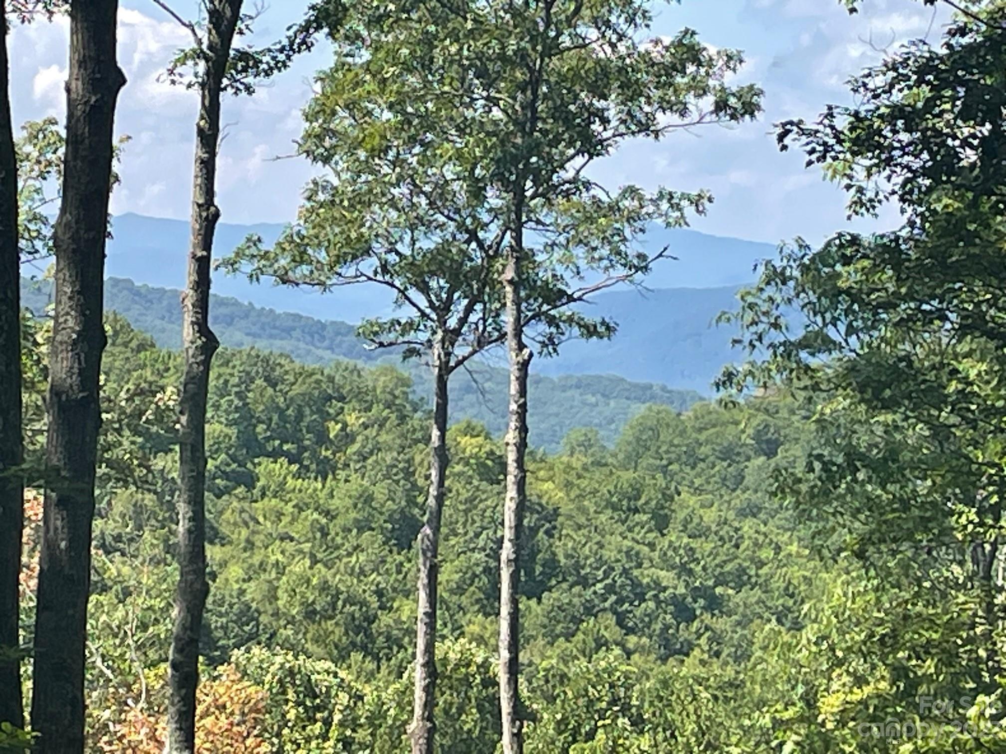 Lt 107 Boar Ridge Road 107