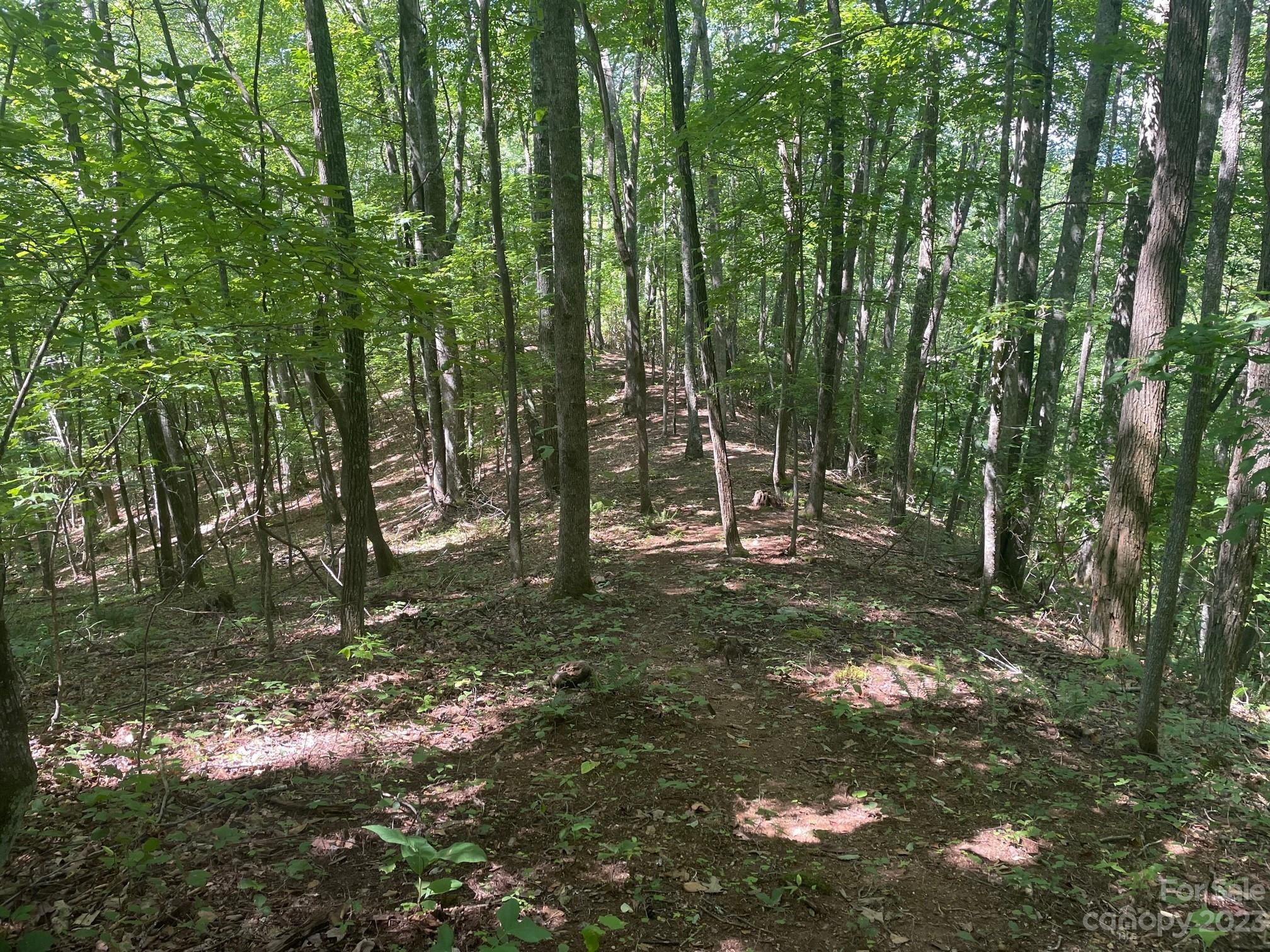 Lt 107 Boar Ridge Road 107