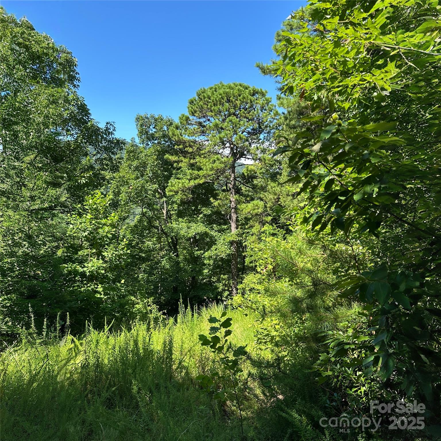 33 Nuthatch Lane T-84