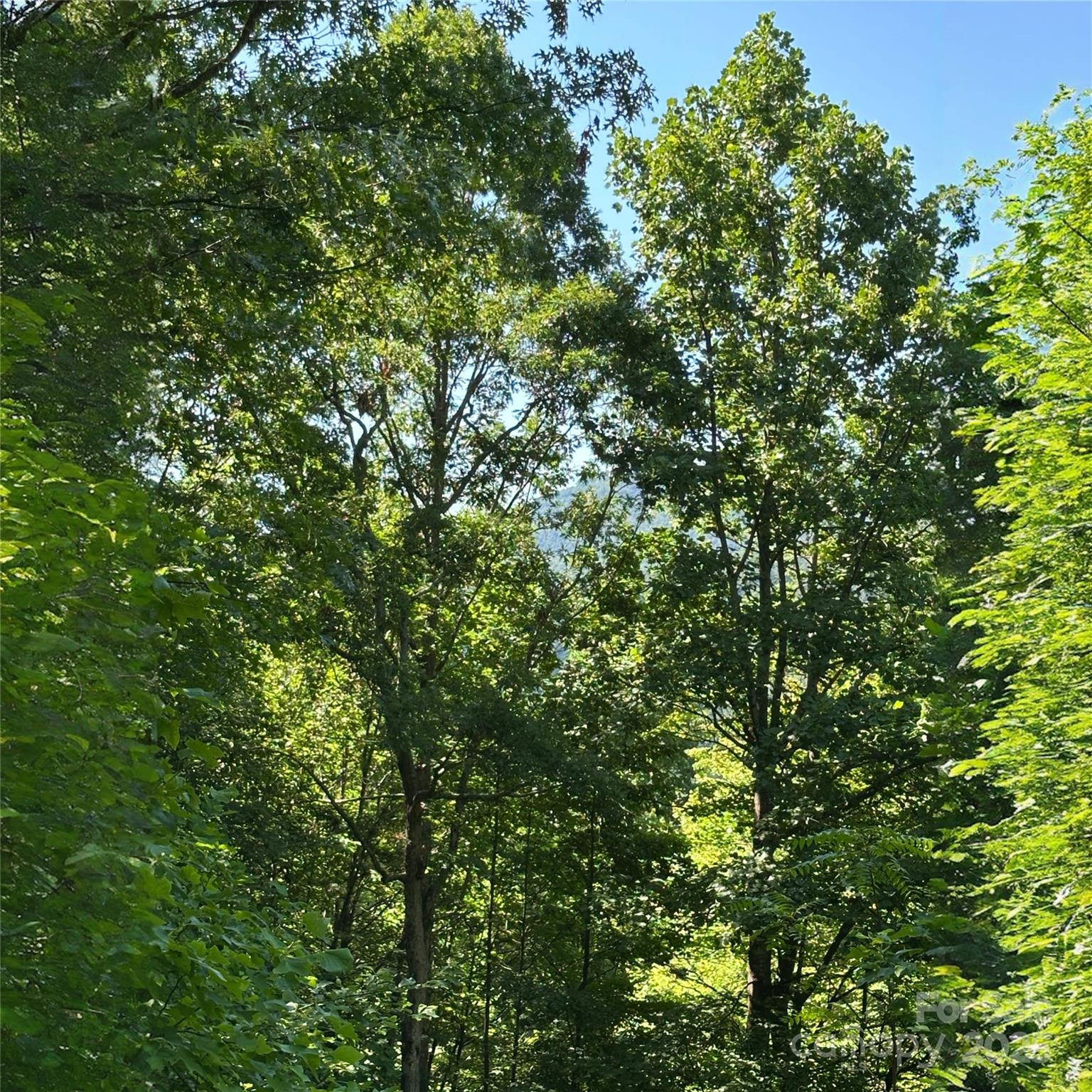 33 Nuthatch Lane T-84