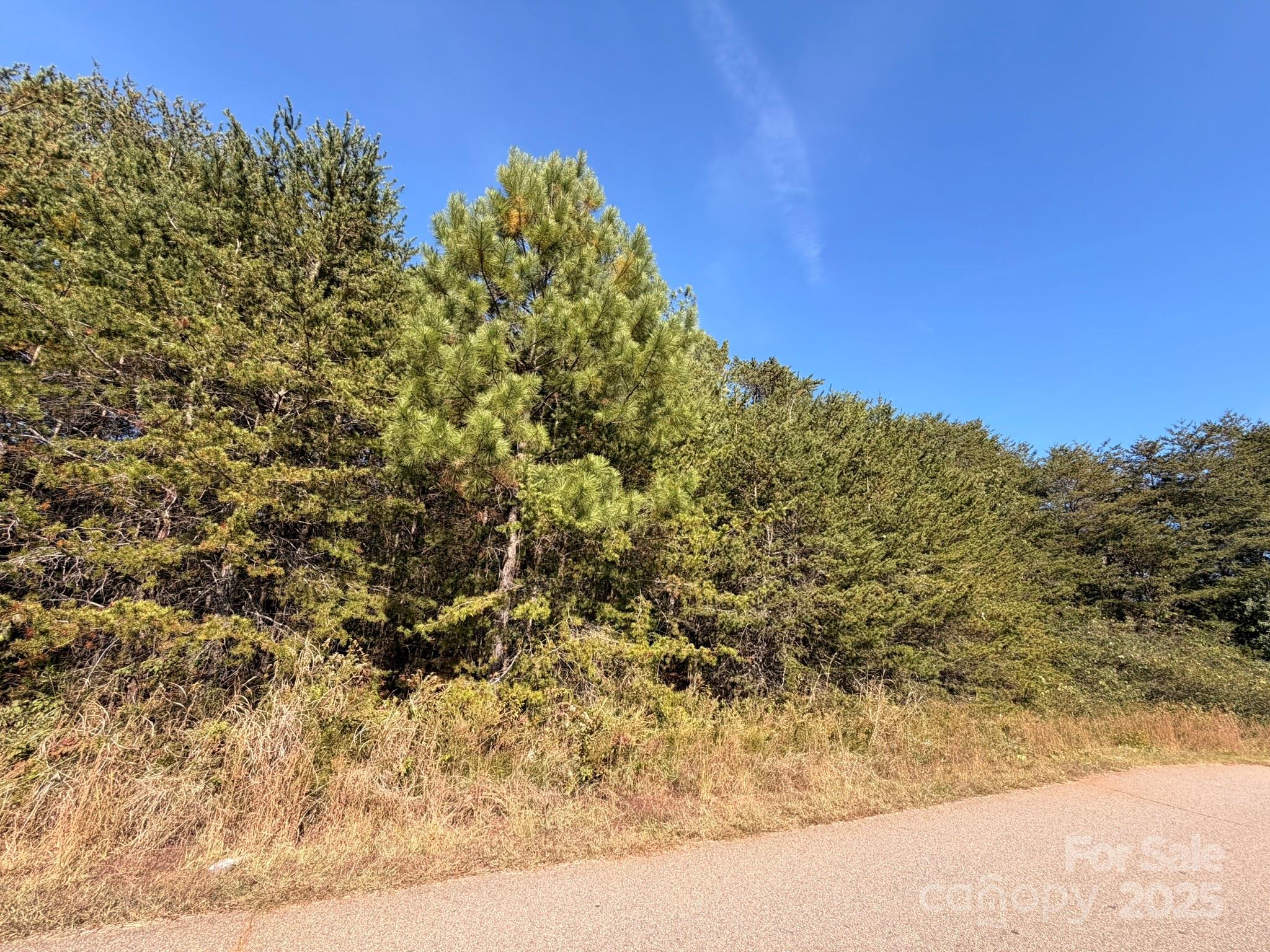 1953 Milton Street 36