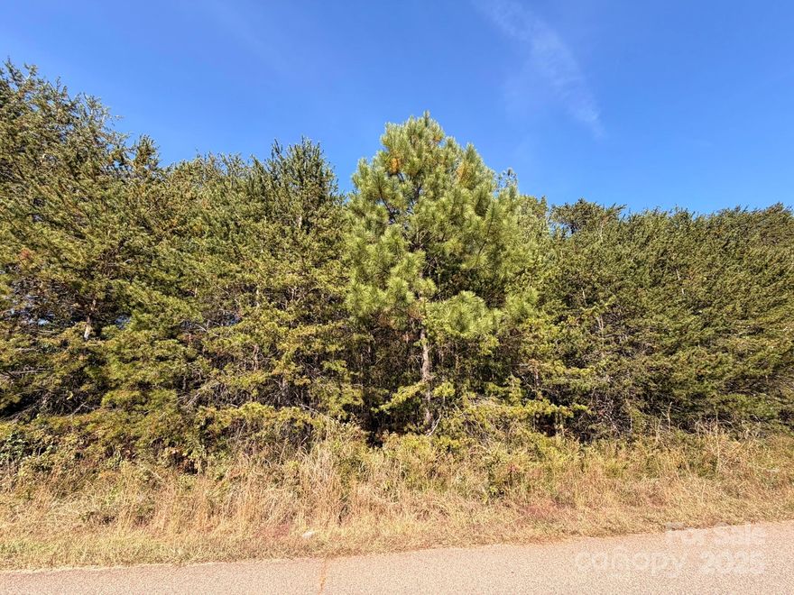 Build your dream home in one of Newton’s most desirable neighborhoods! This .88-acre basement lot on Milton Street offers the perfect opportunity to create a custom home in a beautiful, upscale setting. Located in a high-end community with impressive surrounding homes, this property is ideal for those seeking elegance, privacy, and lasting value.

The lot has a septic permit approved for a 4-bedroom home and requires installation of a private well and septic system. Minimum build requirement is 1,500 sq ft, and plans are subject to HOA architectural approval, ensuring the quality and consistency of the neighborhood remain exceptional.

With a gentle slope suitable for a basement design, this property provides flexibility for your ideal layout and outdoor living spaces. Conveniently located near major highways, shopping, and schools, yet tucked away in a peaceful, established community, this is truly a must-see homesite.

Don’t miss your chance to build in one of Newton’s most sought-after locations—come take a look today!