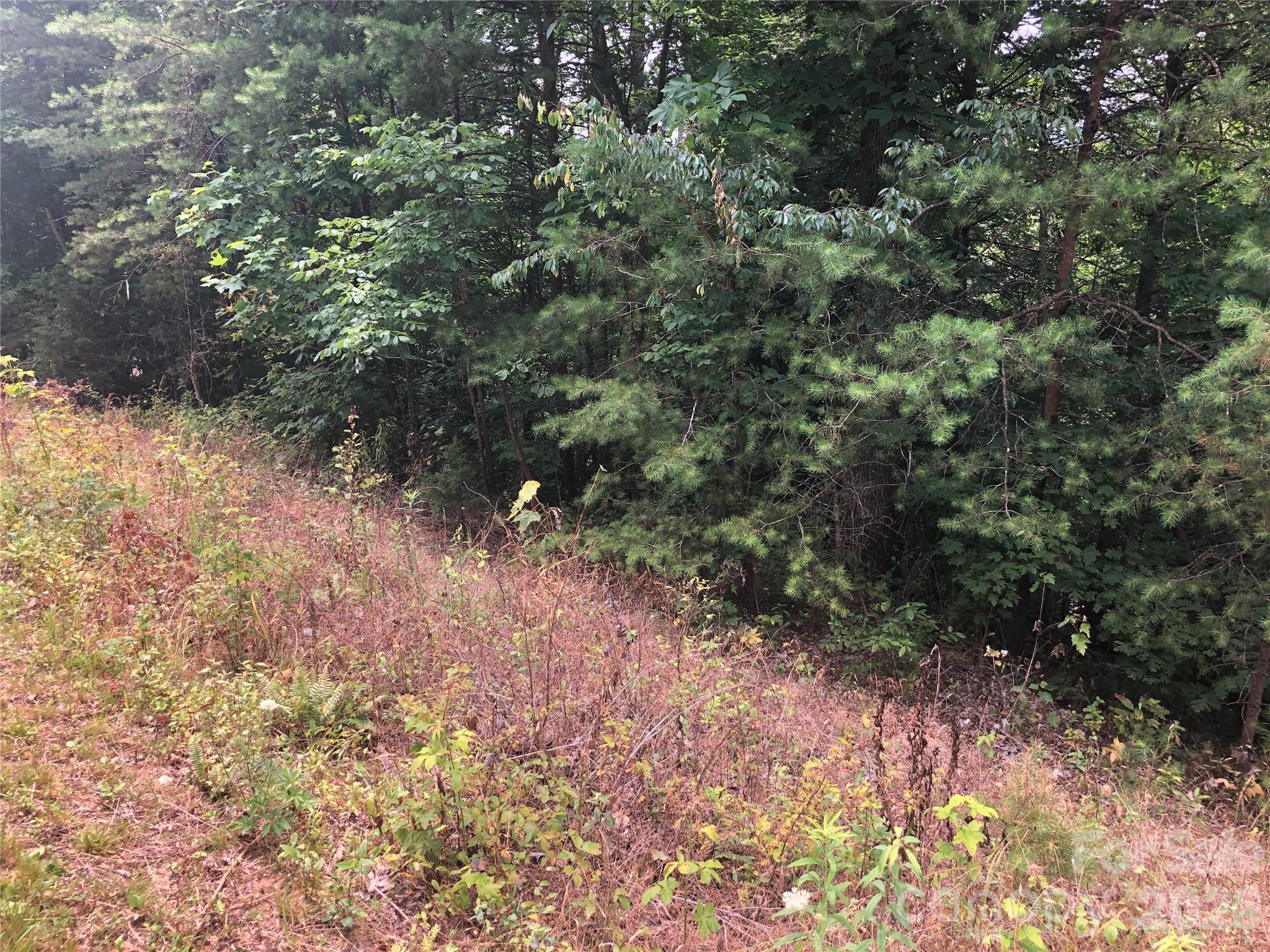 The Crossings at Sugar Hill - Land