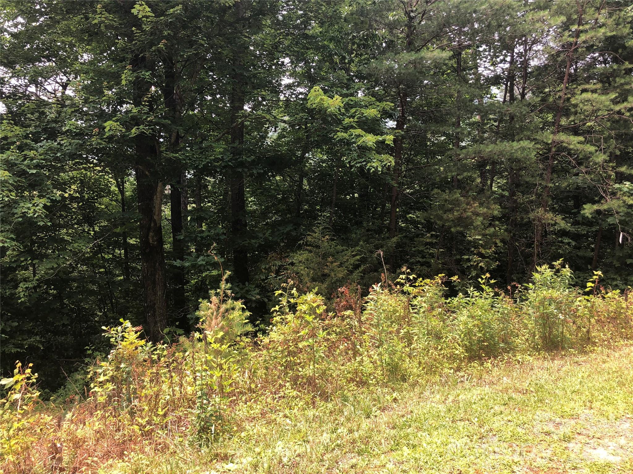 The Crossings at Sugar Hill - Land