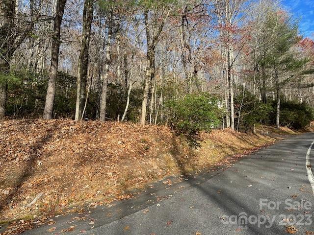 Connestee Falls - Land