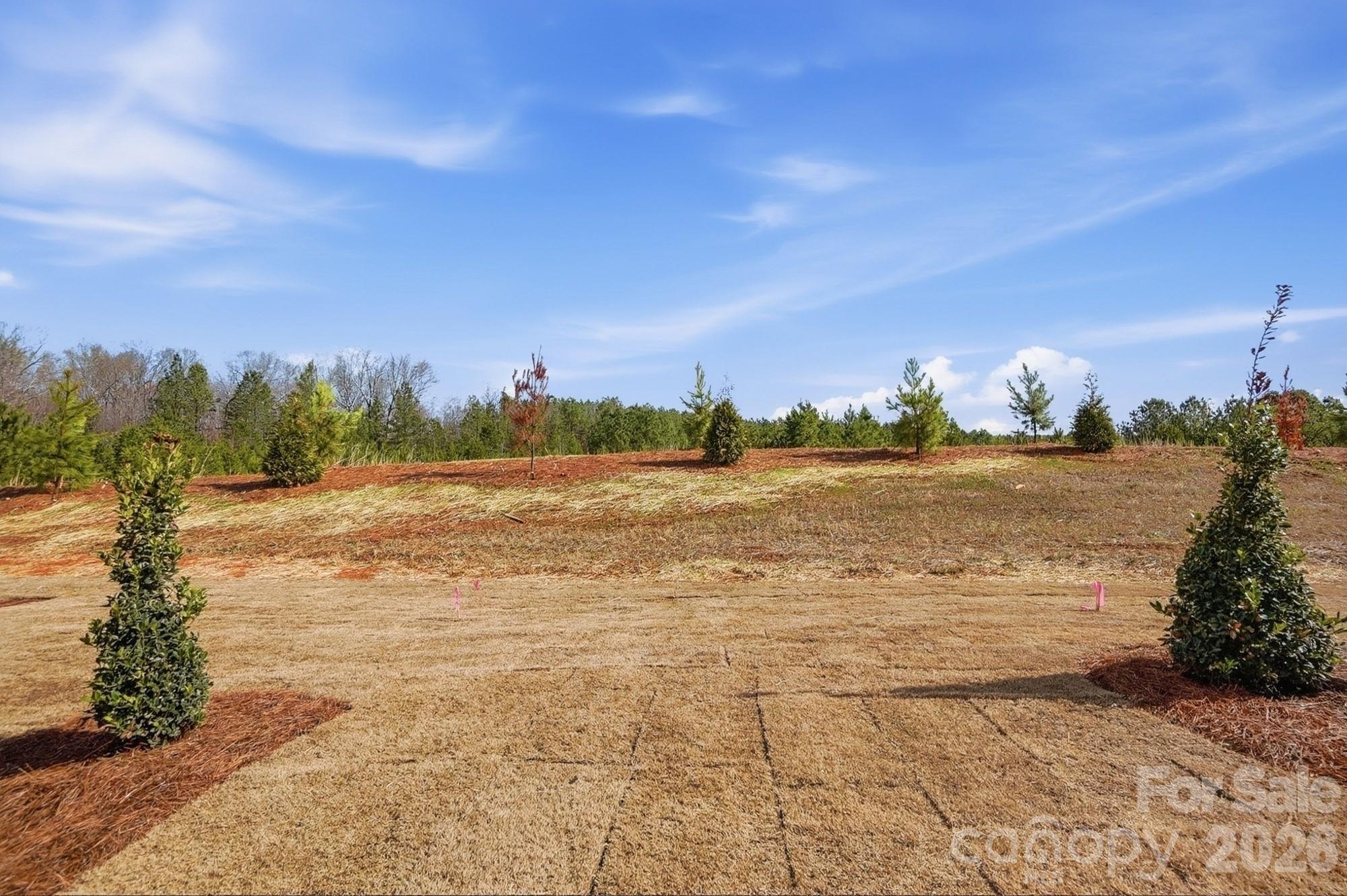 Blythe Mill - Residential