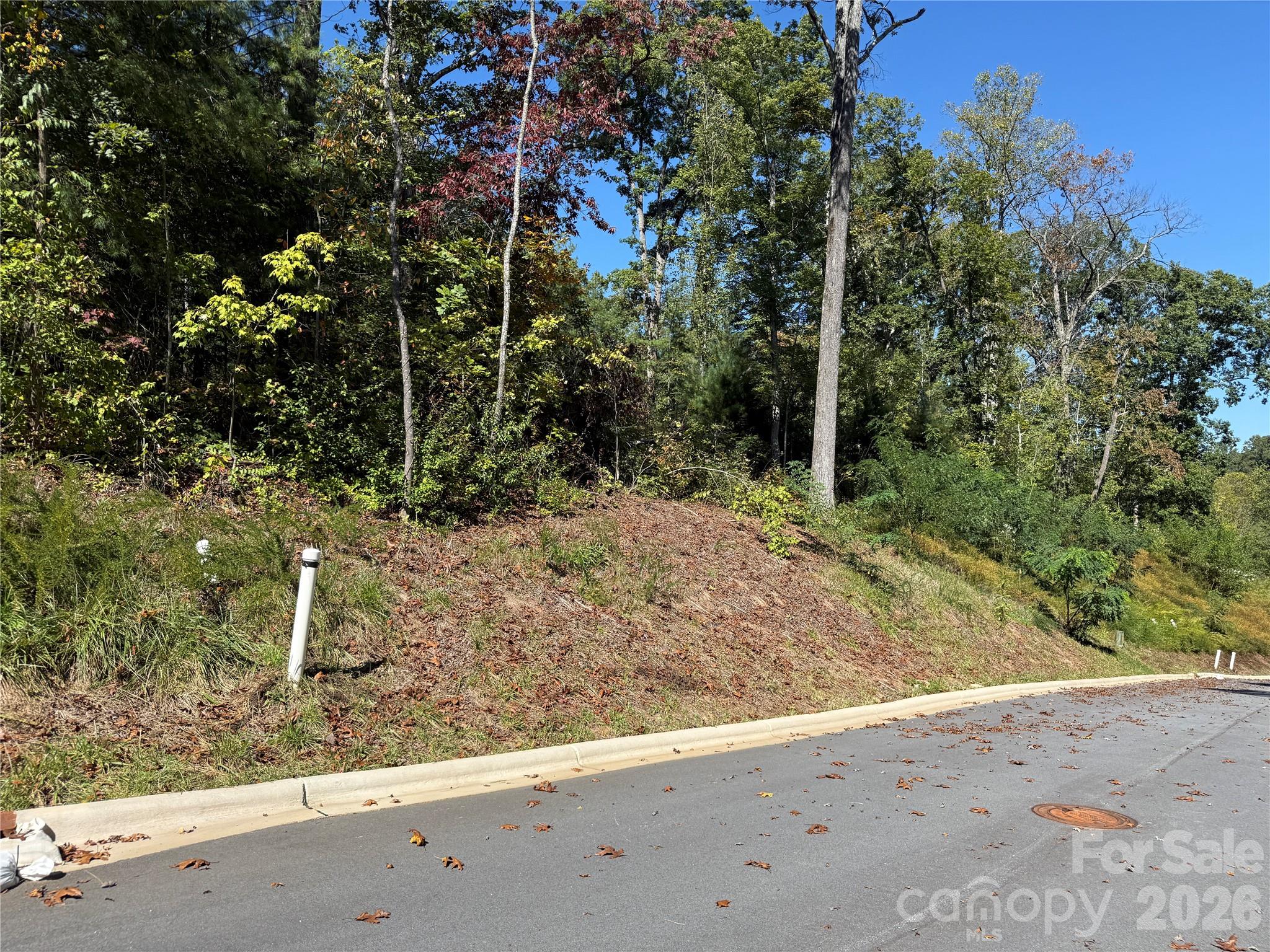 Asheville West - Land